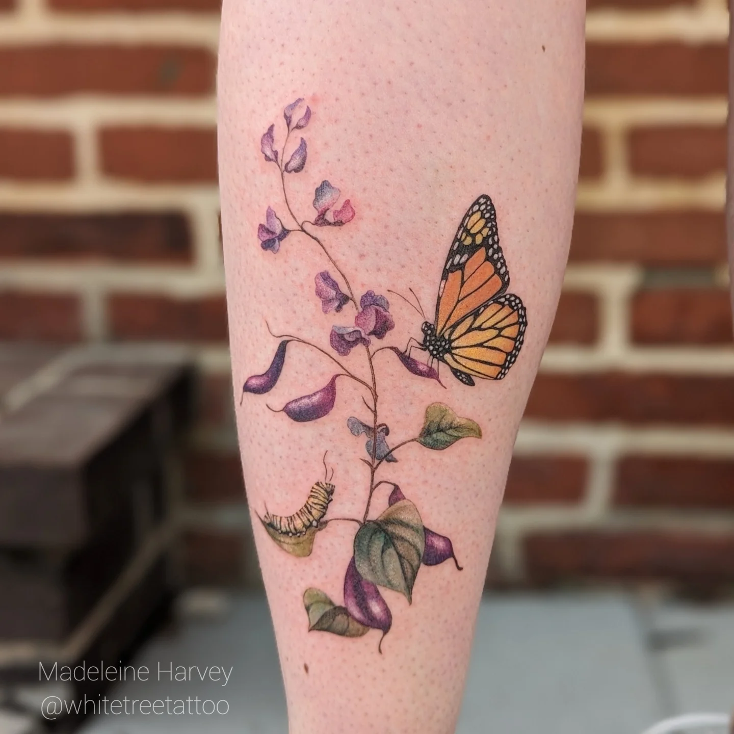 Monarch butterfly and flowers realism tattoo on the forearm by Maddie