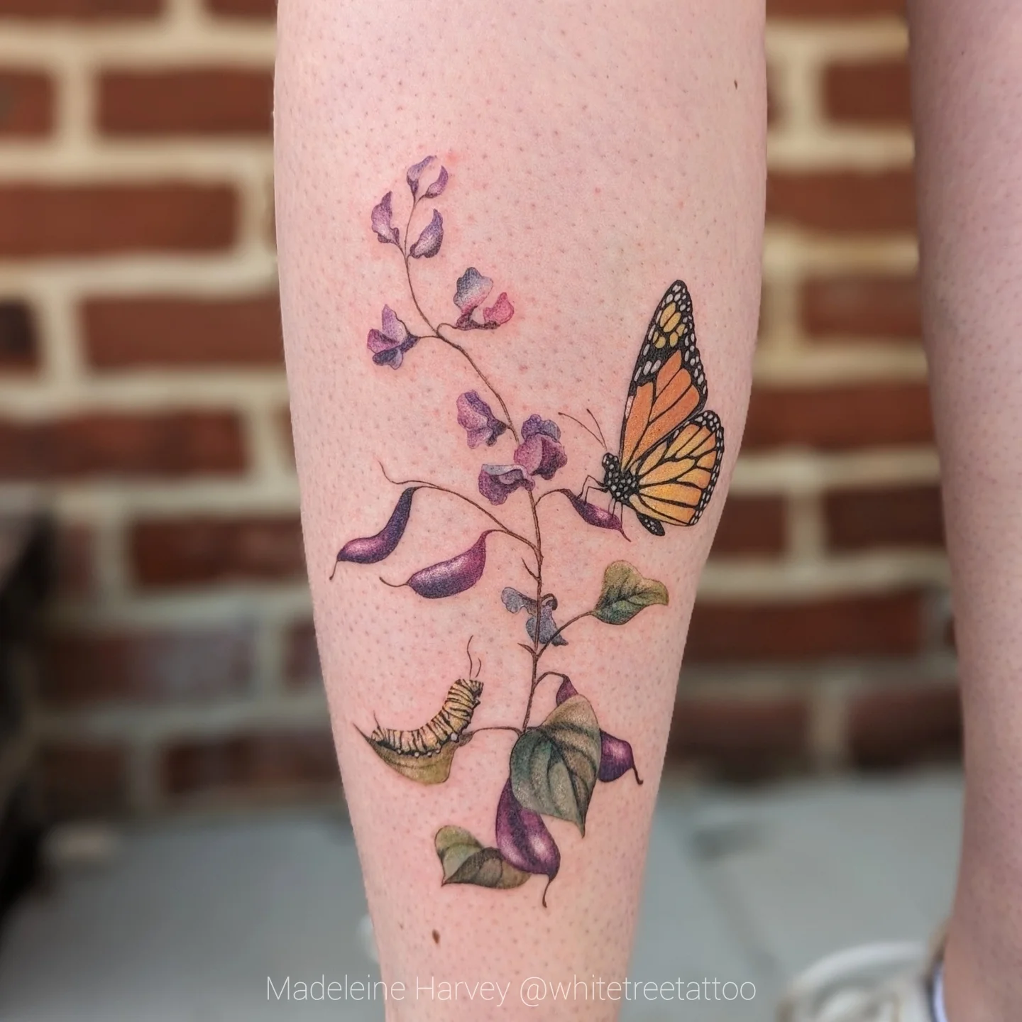 Monarch butterfly and flowers watercolor tattoo on the forearm by Maddie