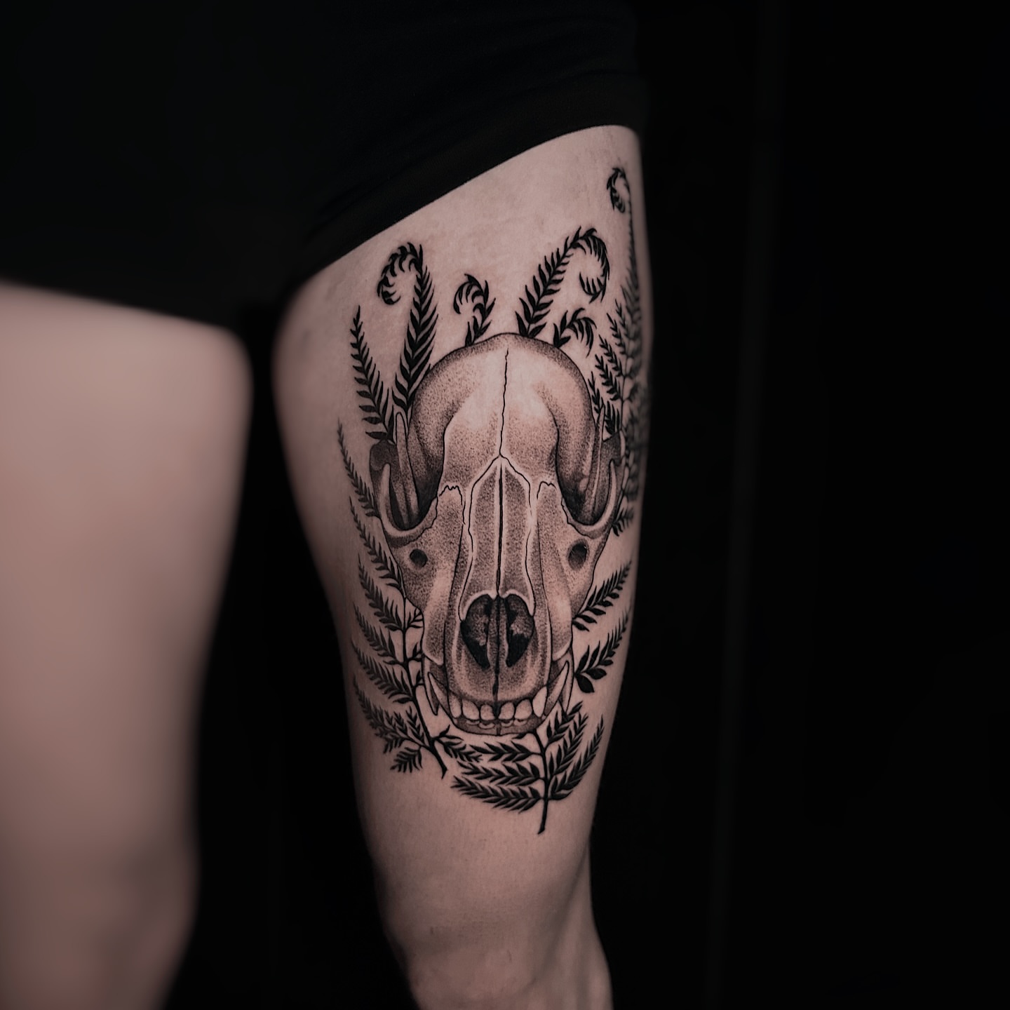 Skull dotwork tattoo on the thigh by Kolby