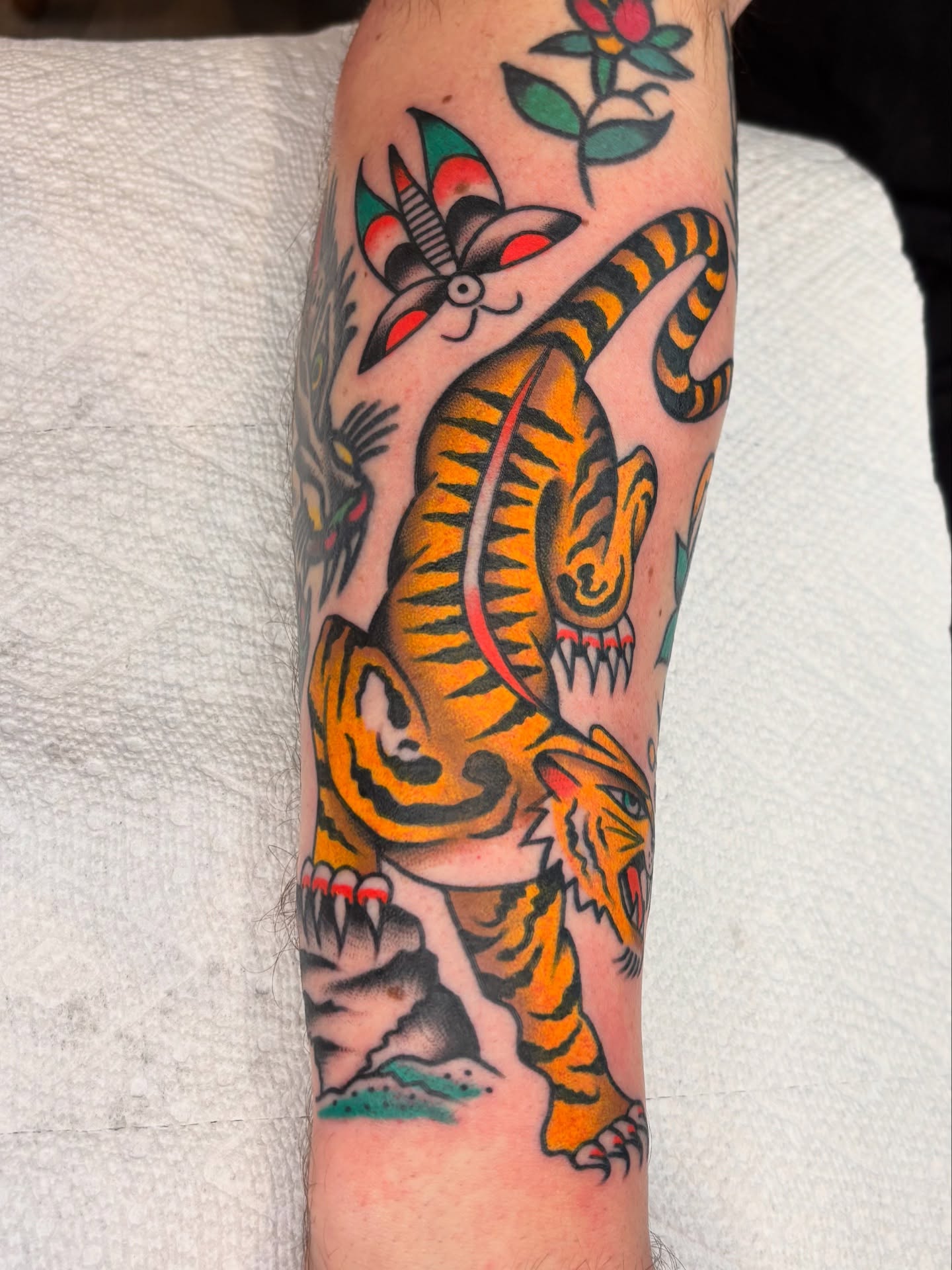Tiger American traditional tattoo on the forearm by Charlie Dunkel Tattoo