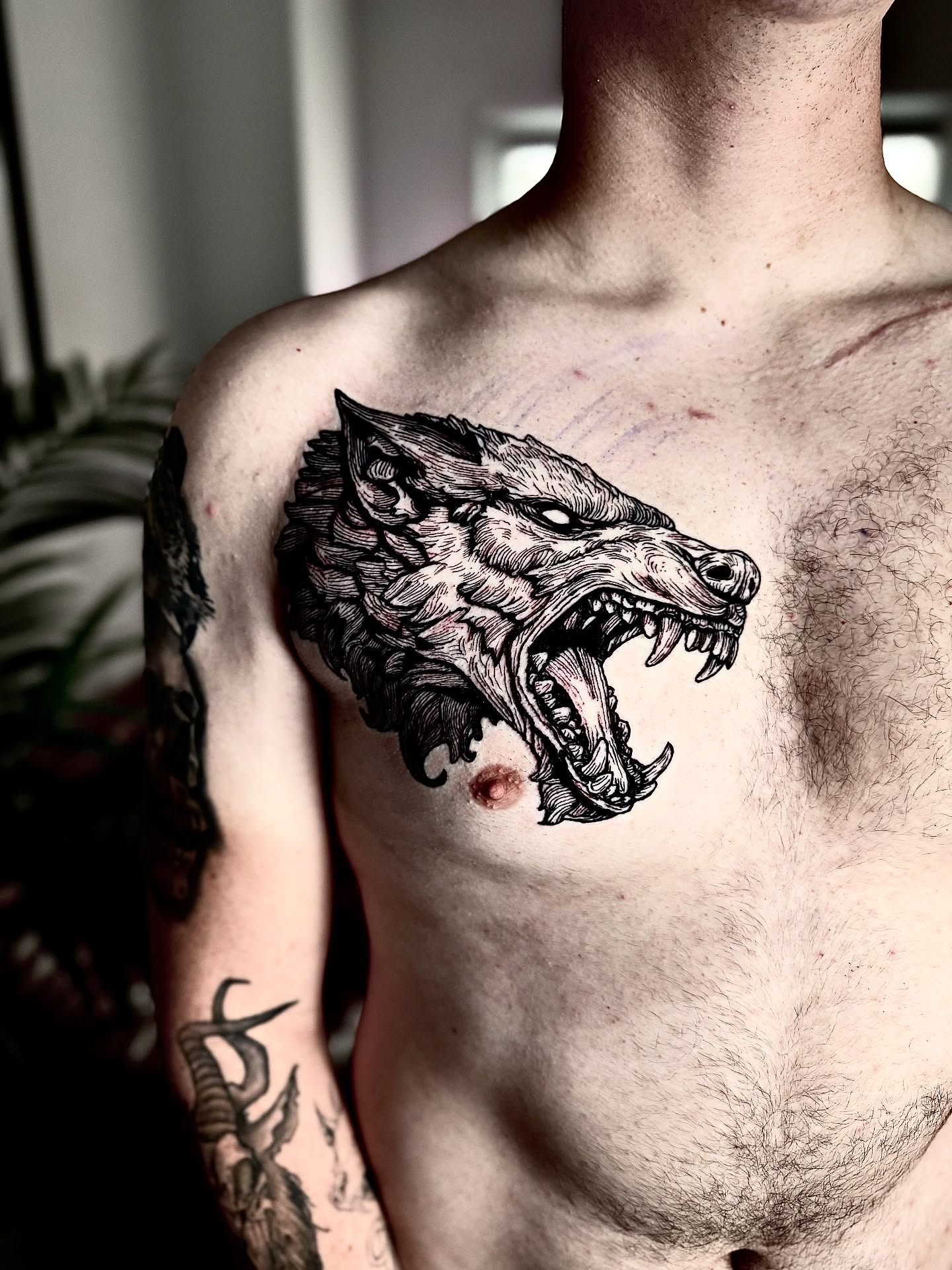 Wolf head black and grey tattoo on the chest by Bwk Dark Art
