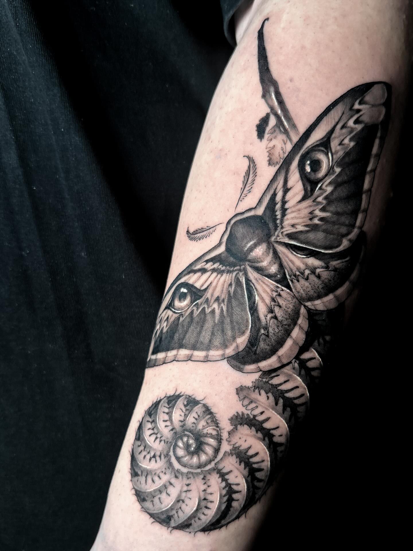 Moth and spiral realism tattoo on the forearm by Eltche Art Tattoo