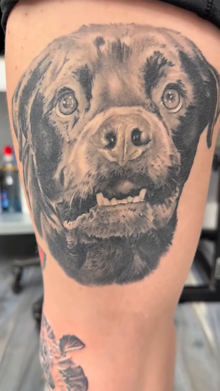 Dog portrait realism tattoo by Steve Bishov