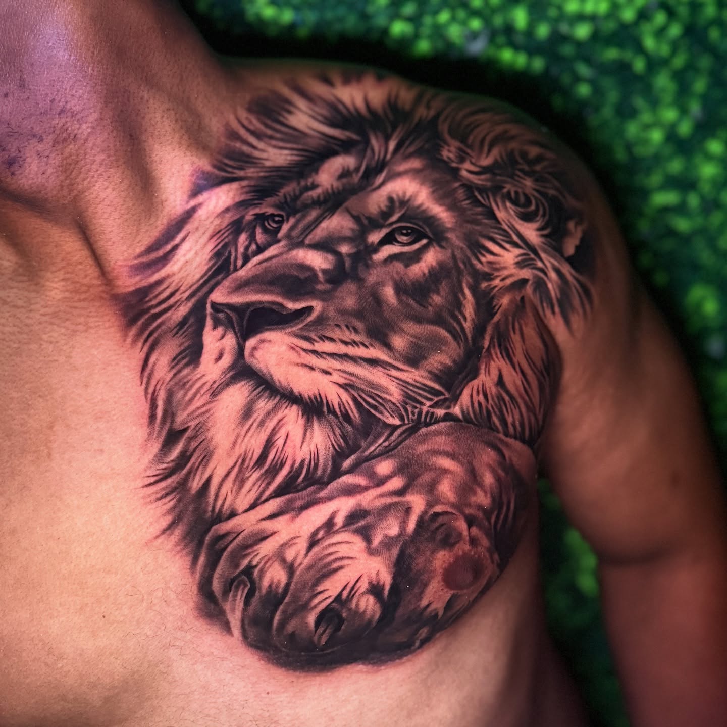 Tattoo by @jaydevito_tattoos — realism, black_and_grey