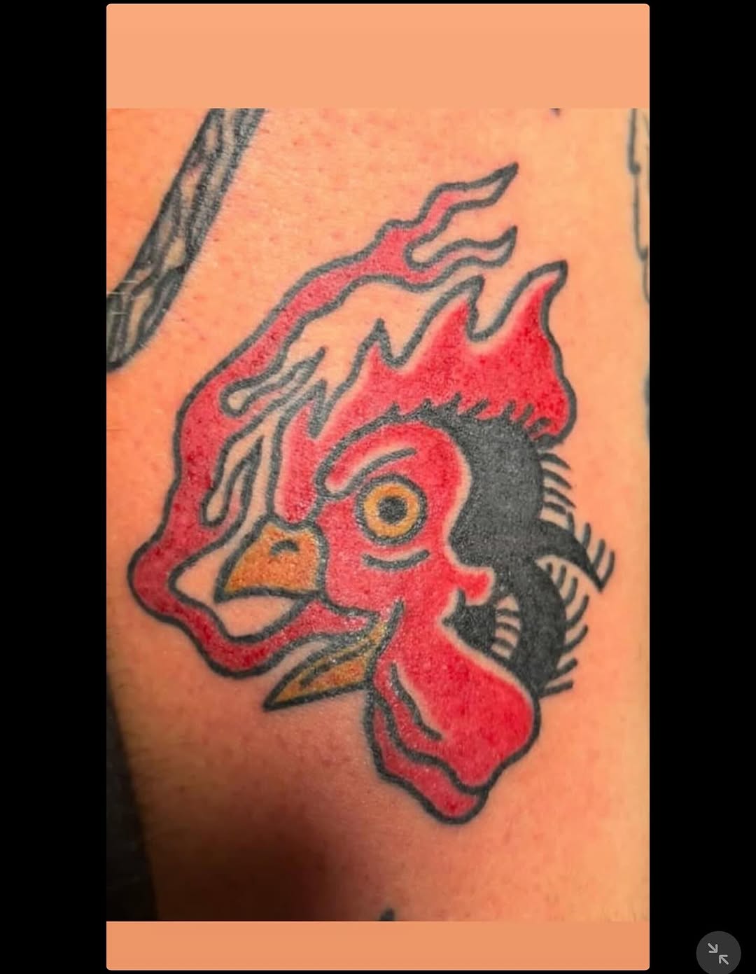 Tattoo by @natalieopaltattoos — american_traditional