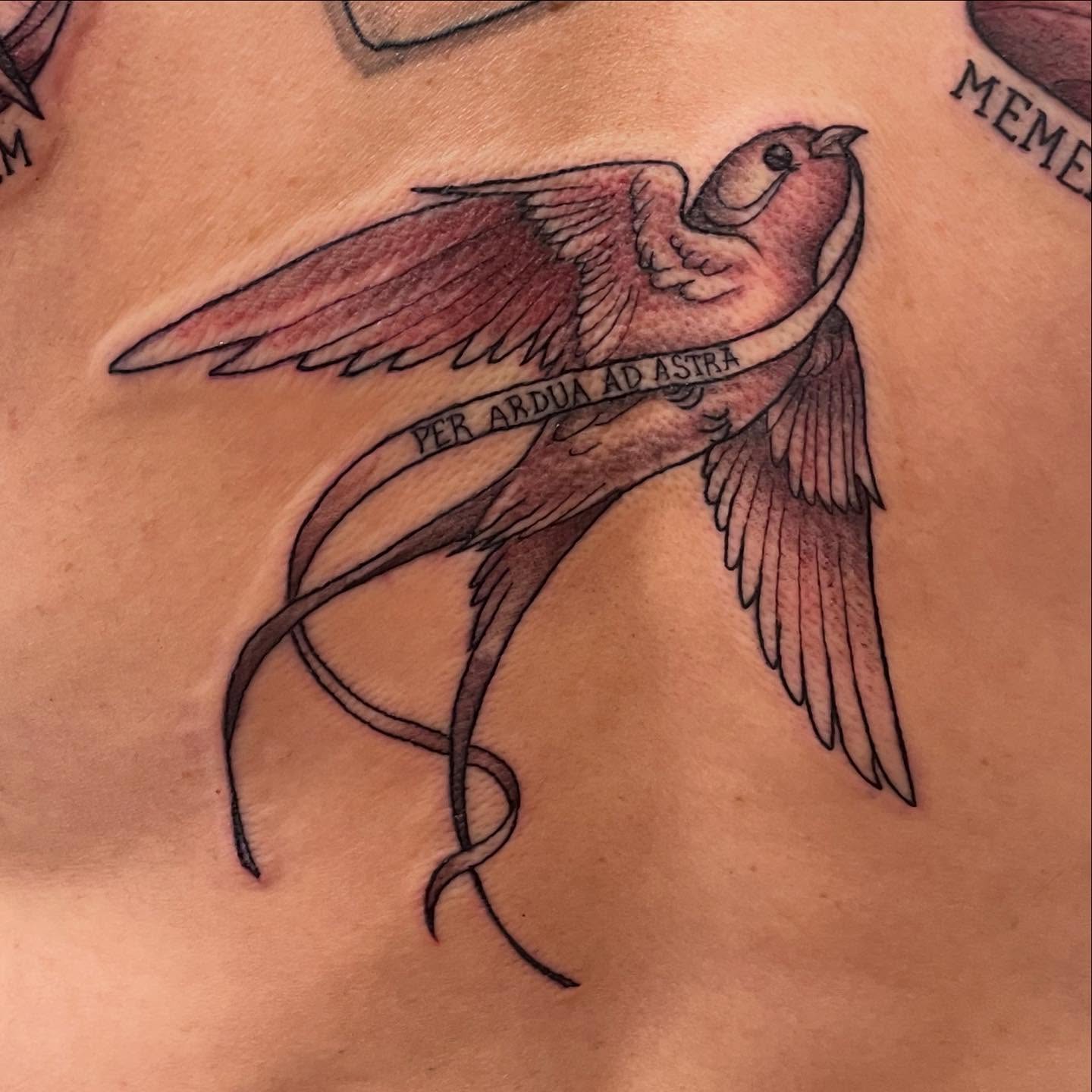 Tattoo by @idoitwithlittlepricks — black_and_grey