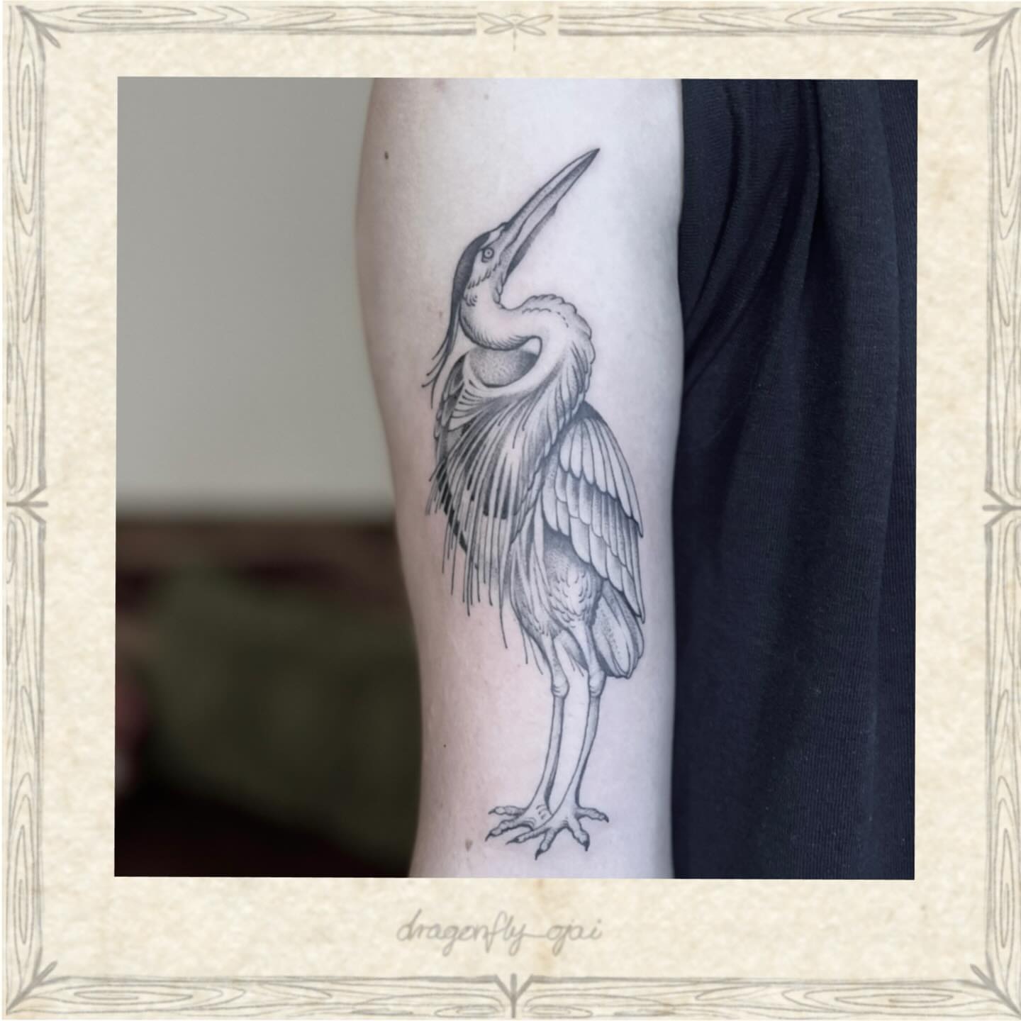 Tattoo by @dragonfly_ajja — black_and_grey