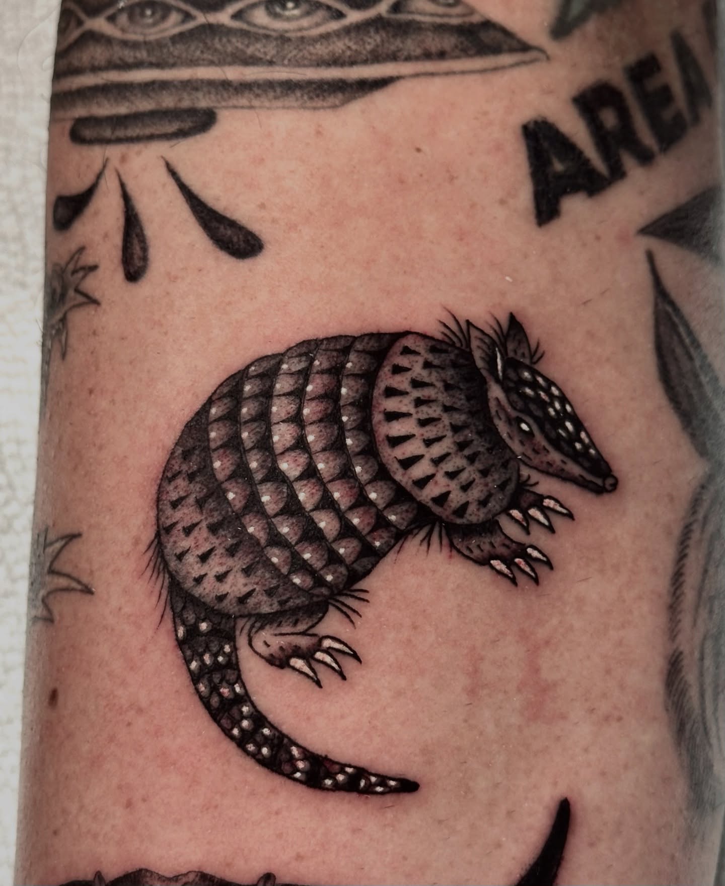 Armadillo black and grey tattoo on the forearm by Matthew, Georgetown, Texas