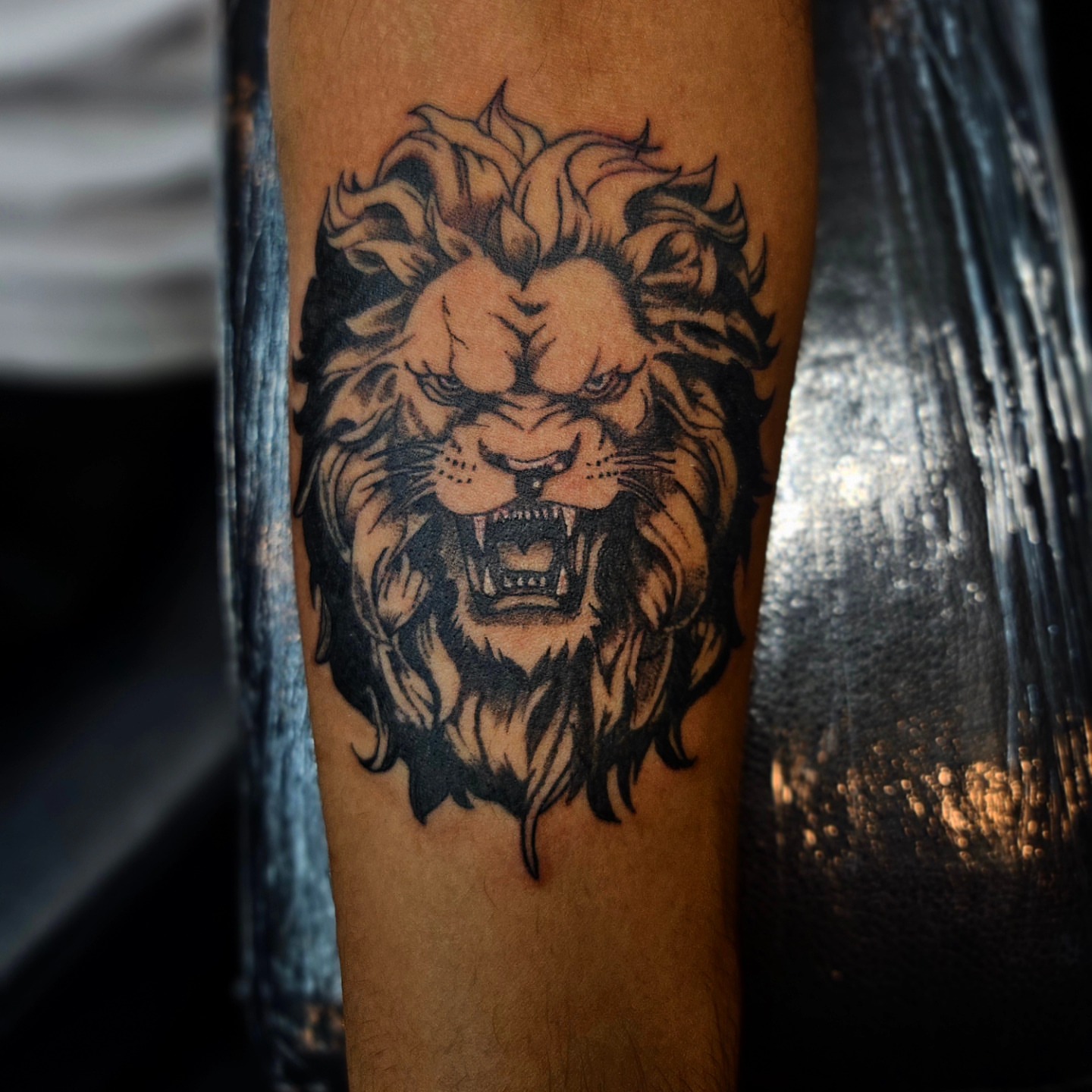 Lion black and grey tattoo on the forearm by 𝕸 𝖆 𝖓 𝖔 𝖑 𝖔
