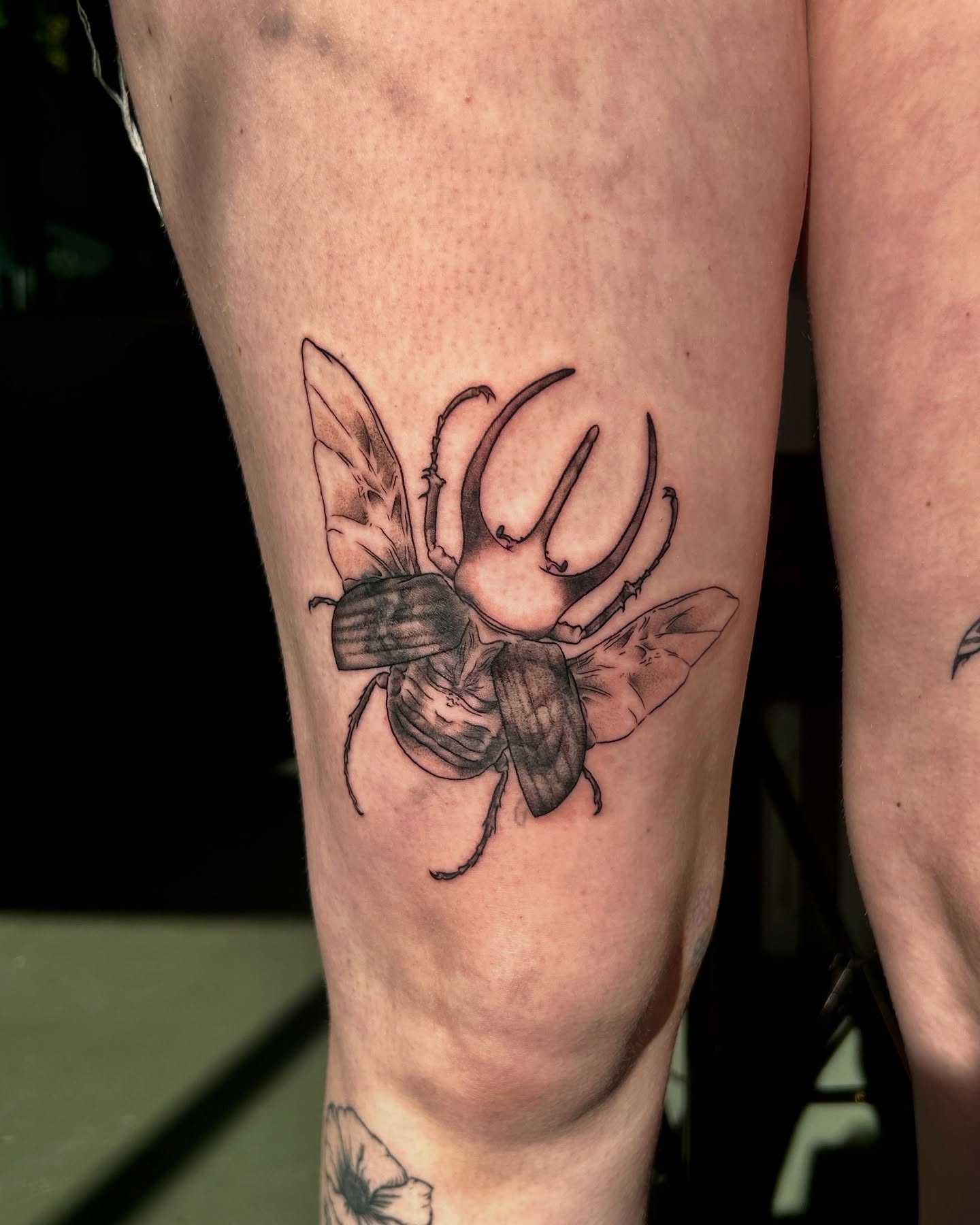 Scarab beetle realism tattoo on the thigh by King By Trade 👑
