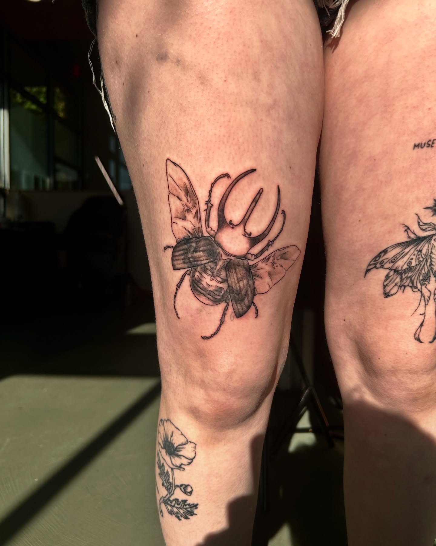 Scarab beetle realism tattoo on the thigh by King By Trade 👑