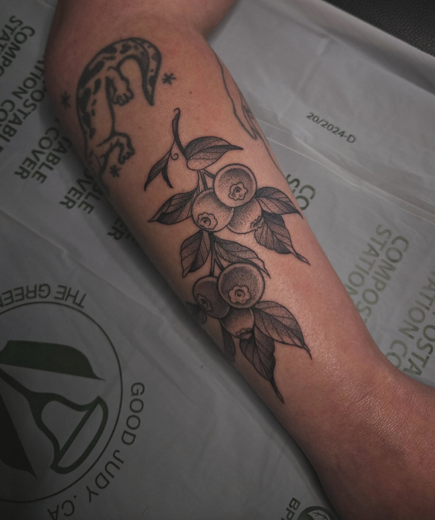 Blueberries and leaves dotwork tattoo on the forearm by Alexandra Colella ✨️