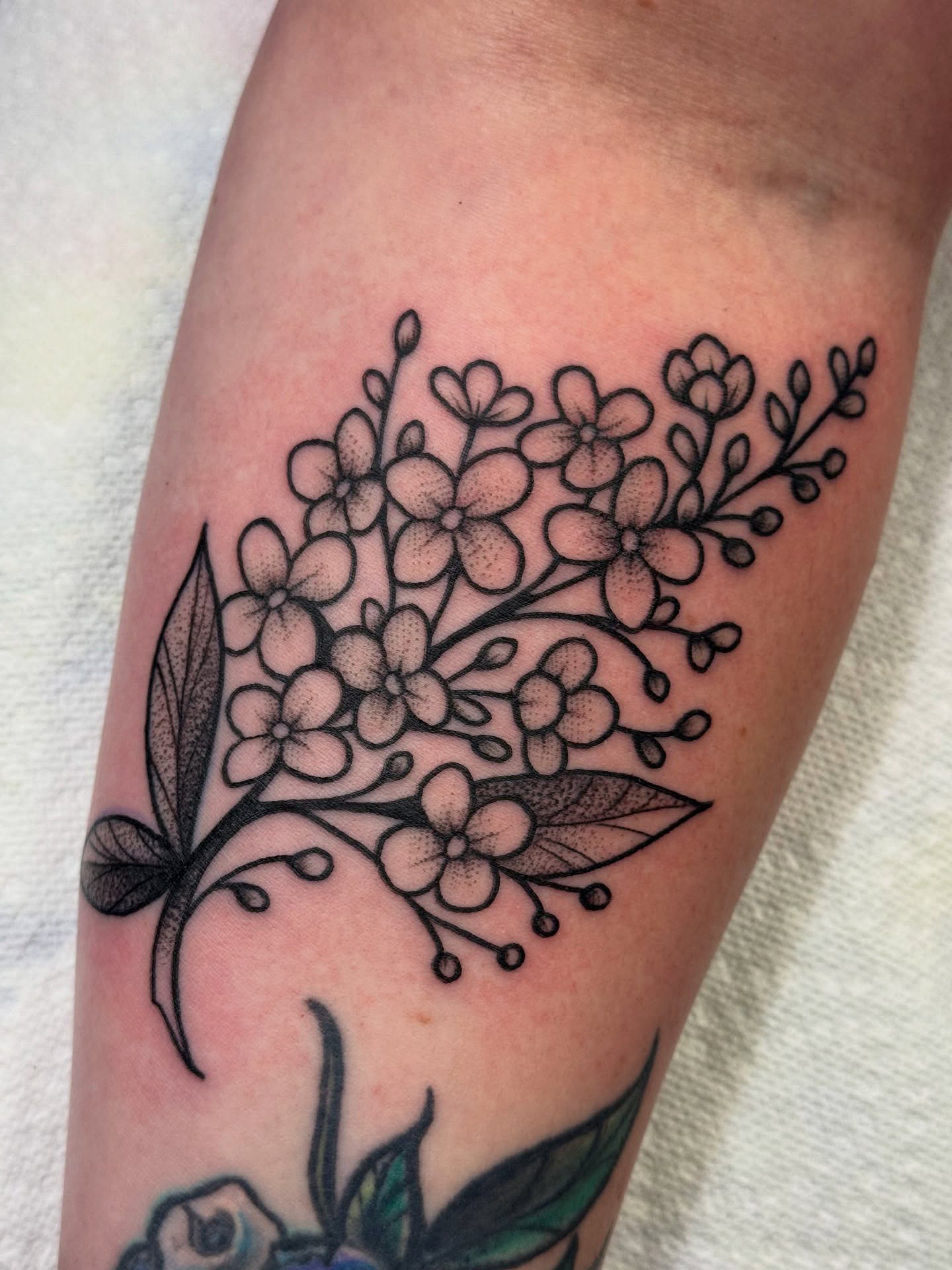 Cherry blossoms dotwork tattoo on the forearm by jenna clark🎨