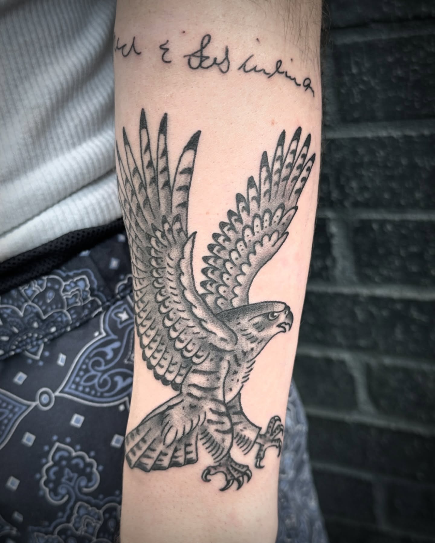 Falcon black and grey tattoo on the forearm by Chris Blanchard