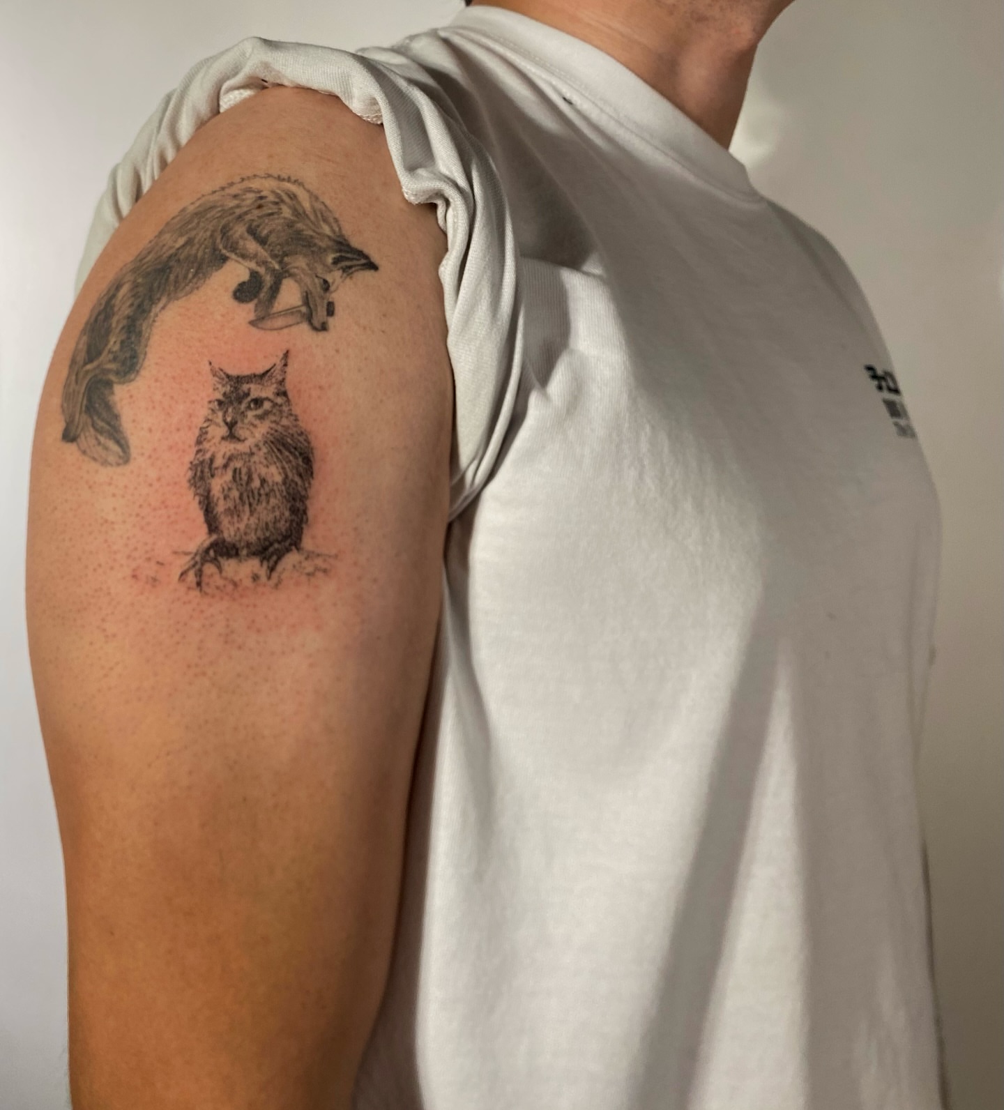 Fox and cat dotwork tattoo on the shoulder by @tattotos