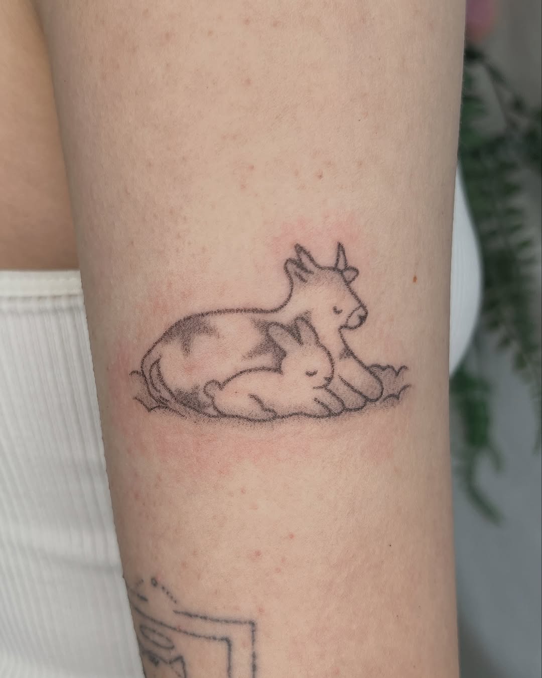 Tattoo by @nightynight_tattoo — fine_line, dotwork