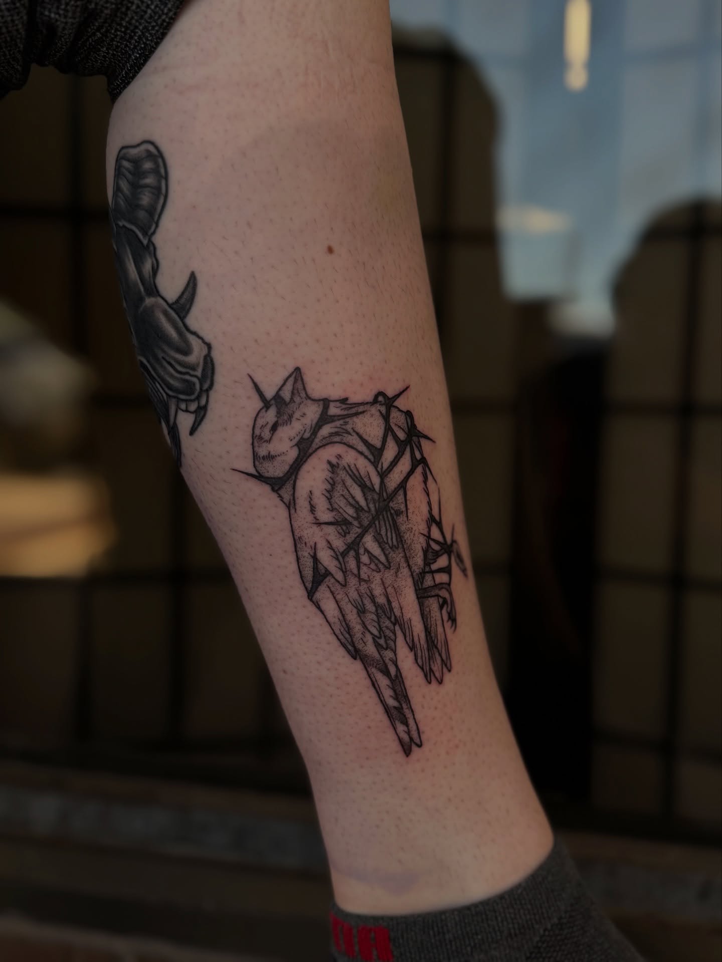 Owl black and grey tattoo on the forearm by 𝔈𝔩𝔦𝔷𝔞𝔟𝔢𝔱𝔥