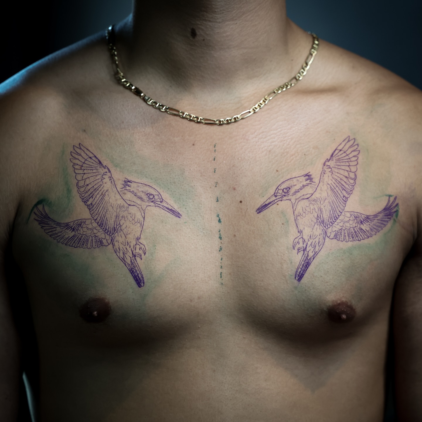 Kingfisher realism tattoo on the chest by Matt Trimble, Charlotte, North Carolina