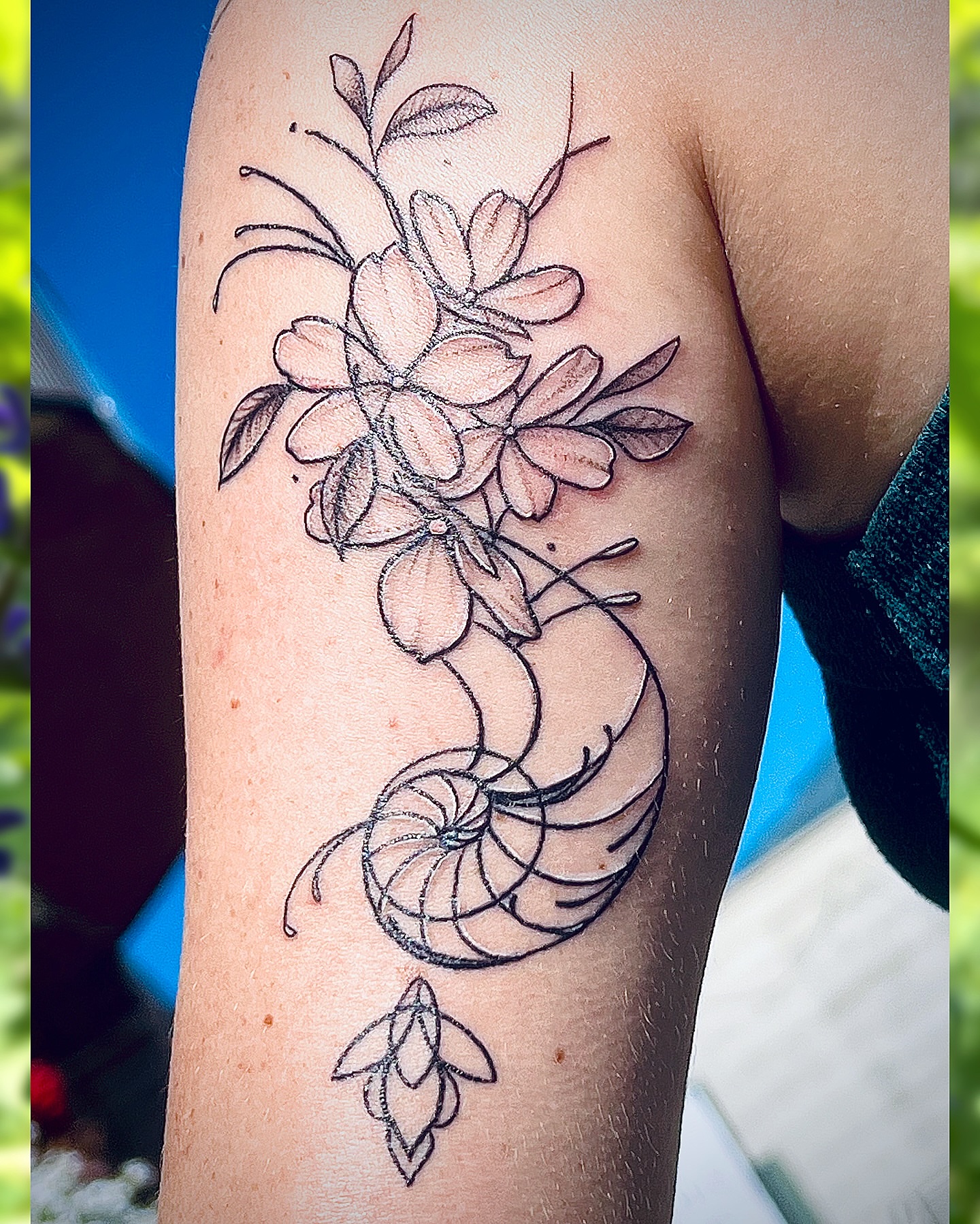Tattoo by @kittymarietattoos โ fine_line, ornamental