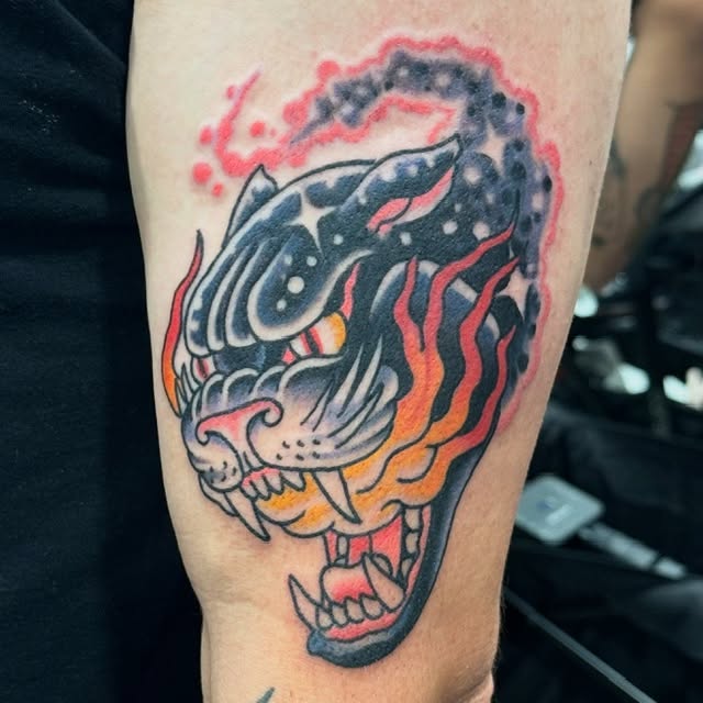 Tiger American traditional tattoo on the forearm by David Gottschalk
