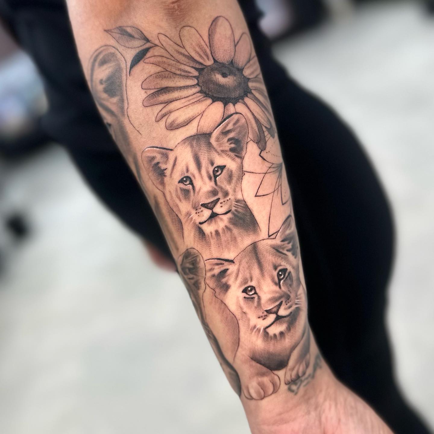 Lion cubs and sunflower realism tattoo on the forearm by Angela Azure
