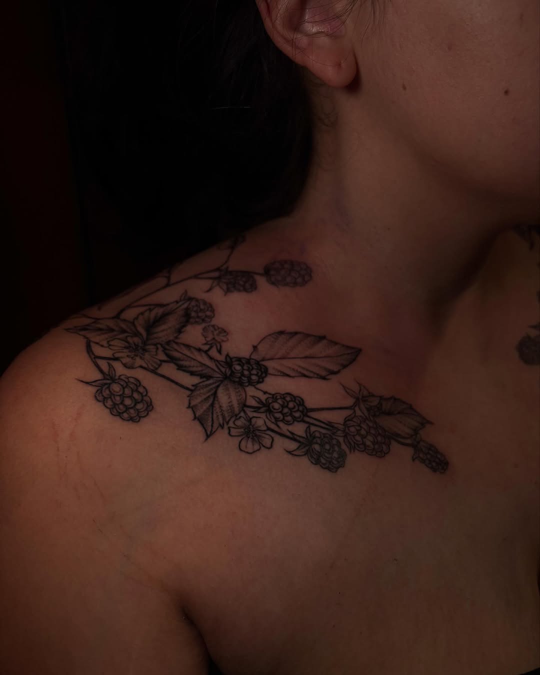 Raspberry branch dotwork tattoo on the shoulder by Gabby Finearts