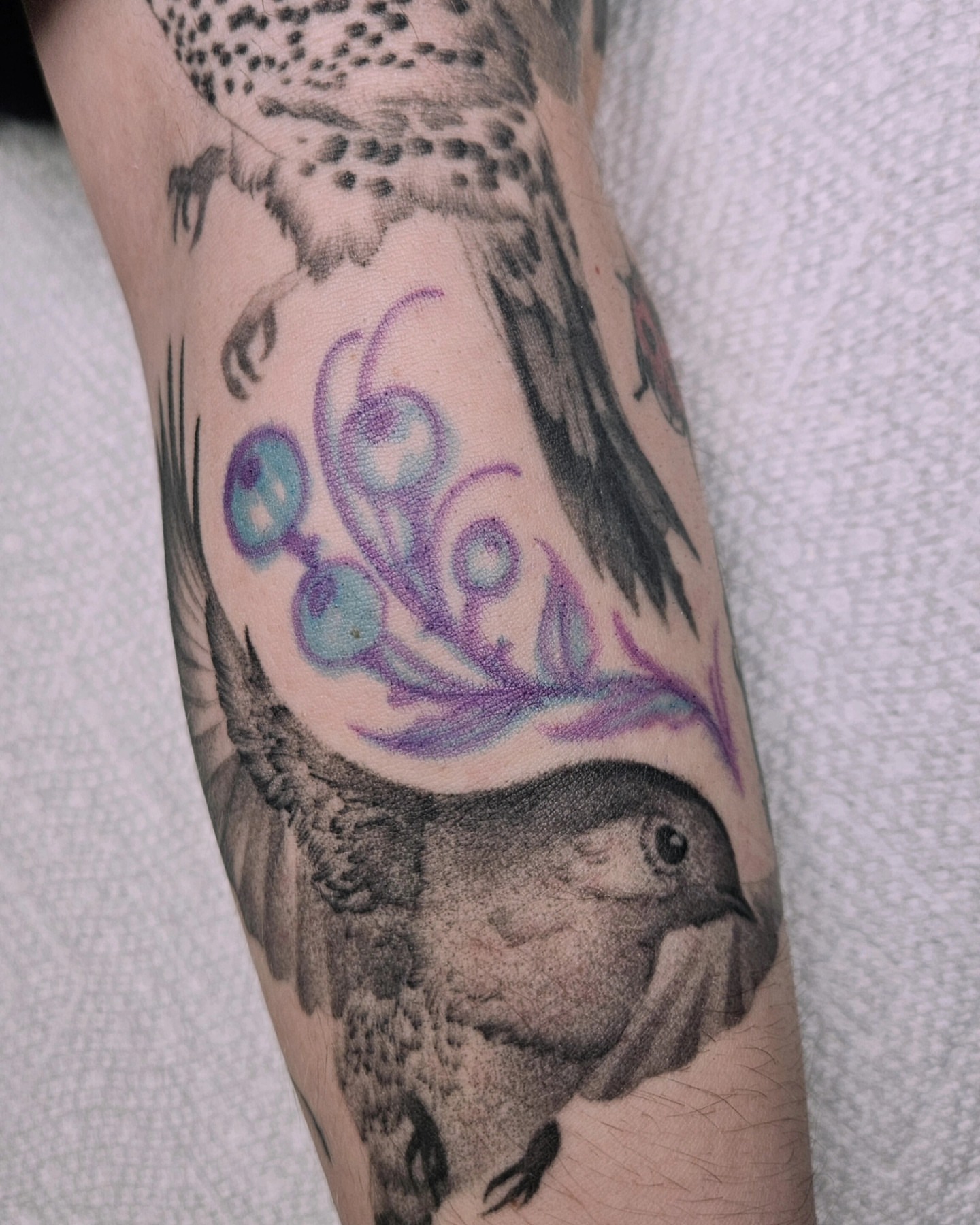 Tattoo by @fermented_ink — black_and_grey, realism