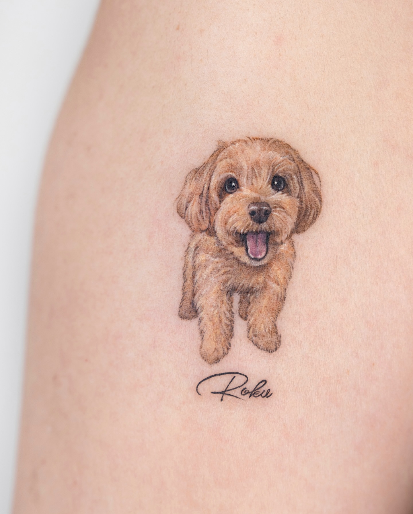 Dog realism tattoo on the thigh by Zeeyo 지요