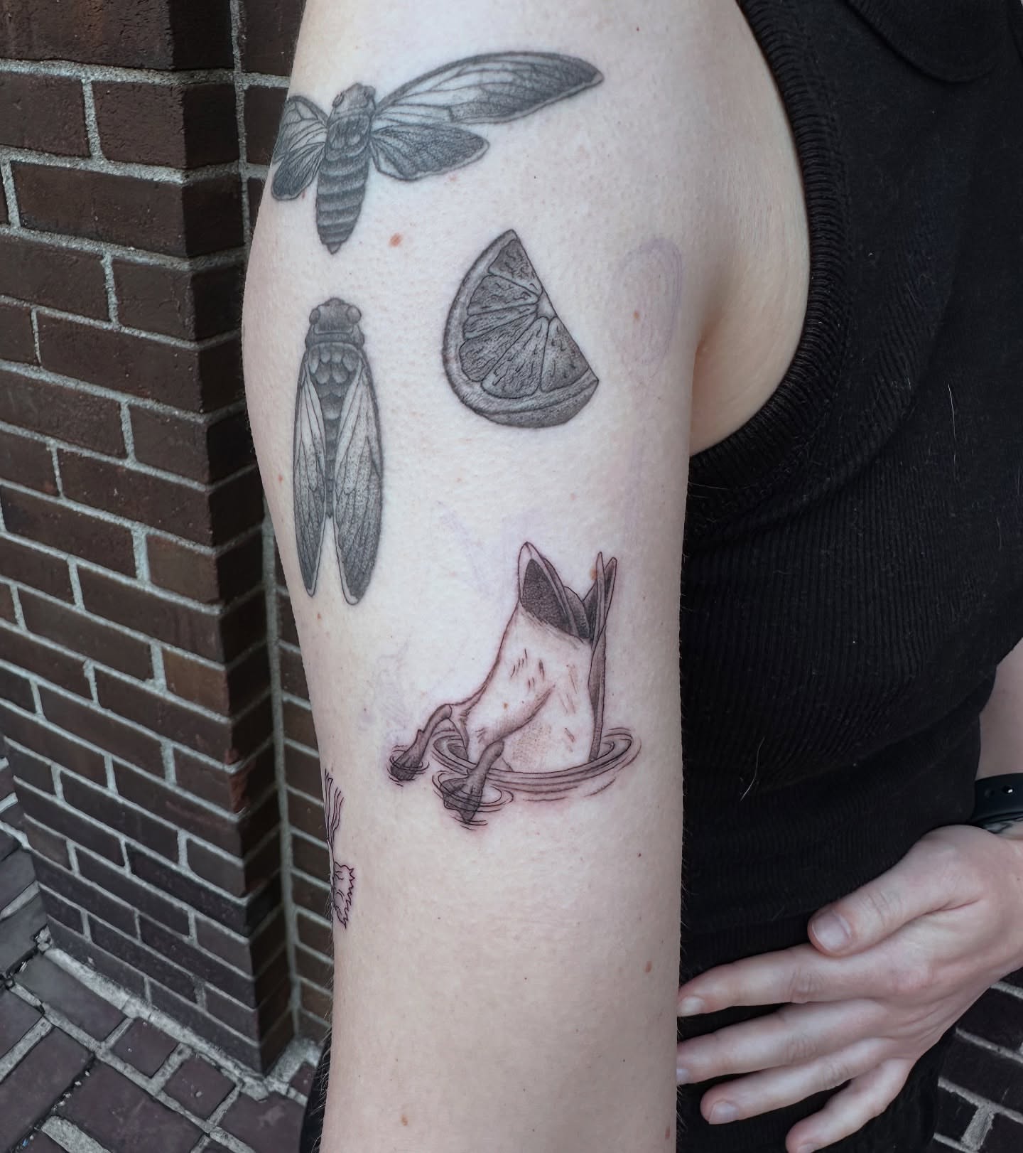 Insects and fox black and grey tattoo on the forearm by Hail Chaney, Somerville, Massachusetts