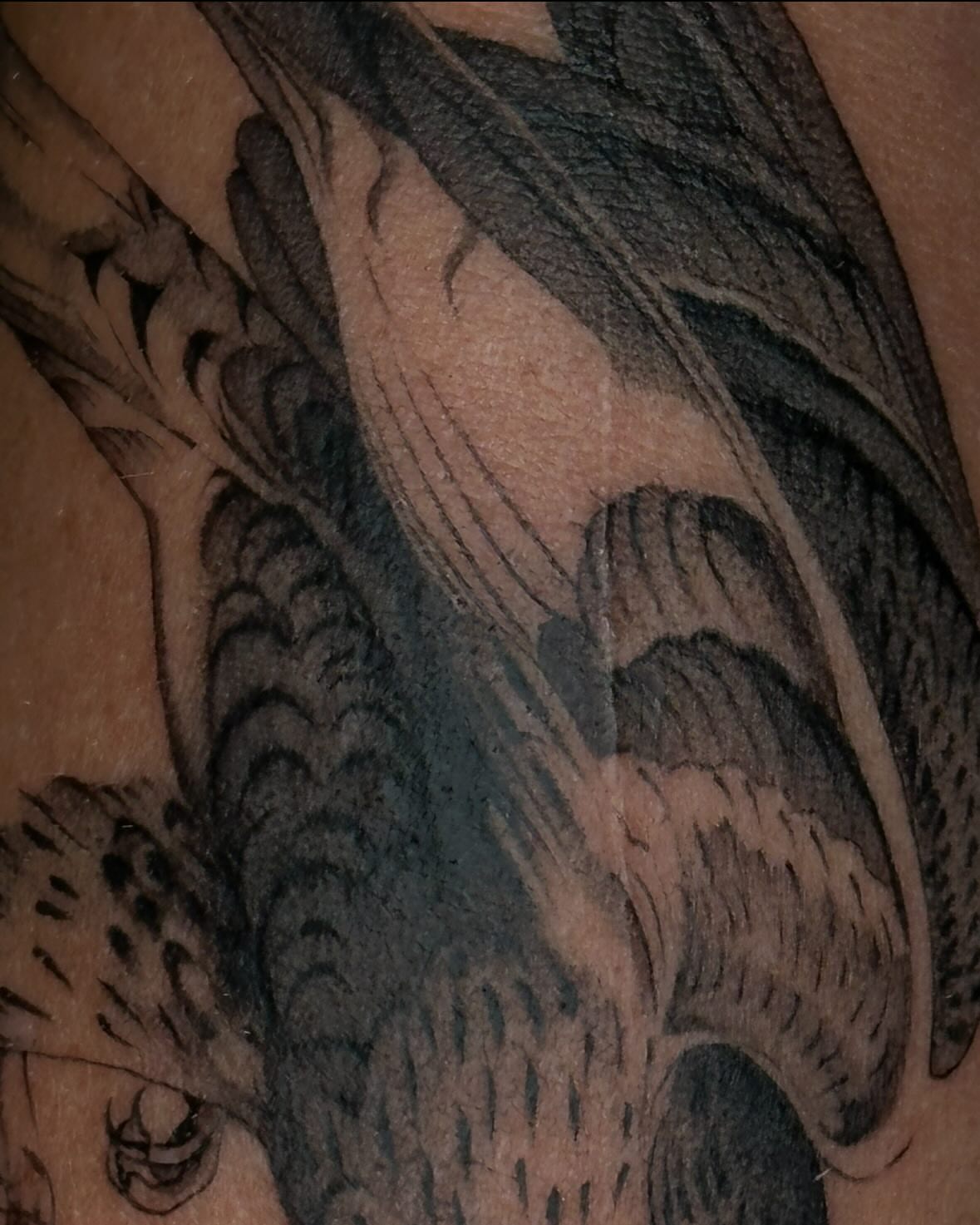 Bird black and grey tattoo on the upper arm by christy 💌