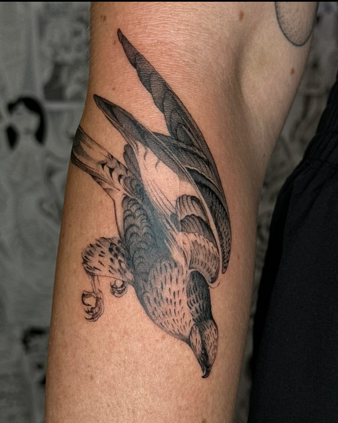 Bird black and grey tattoo on the forearm by christy 💌