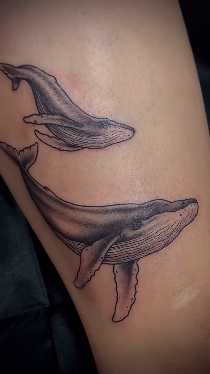Two whales realism tattoo by Arielle Deatherage