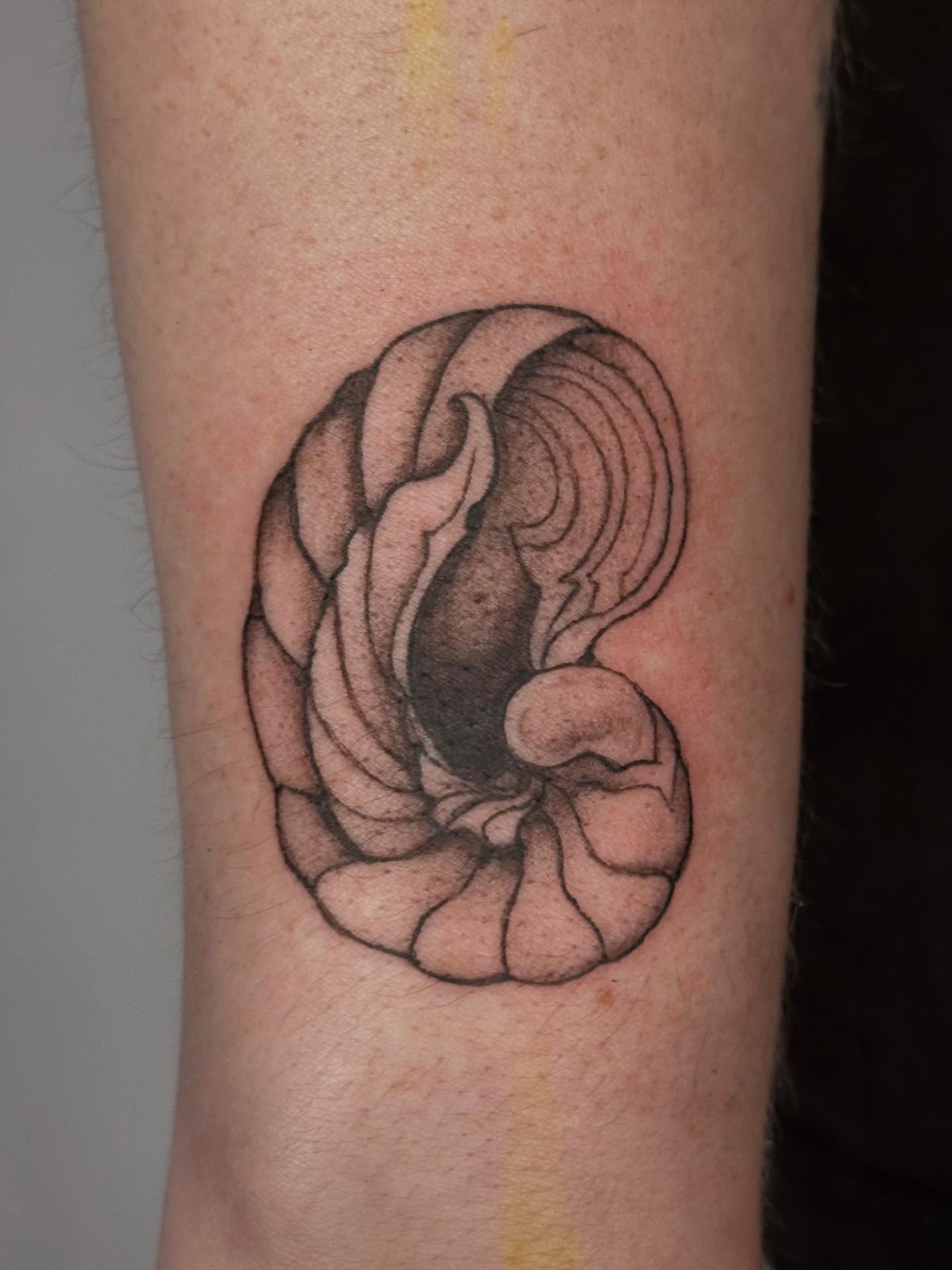 Nautilus shell black and grey tattoo on the forearm by Sadie Spades Philly Tattoos