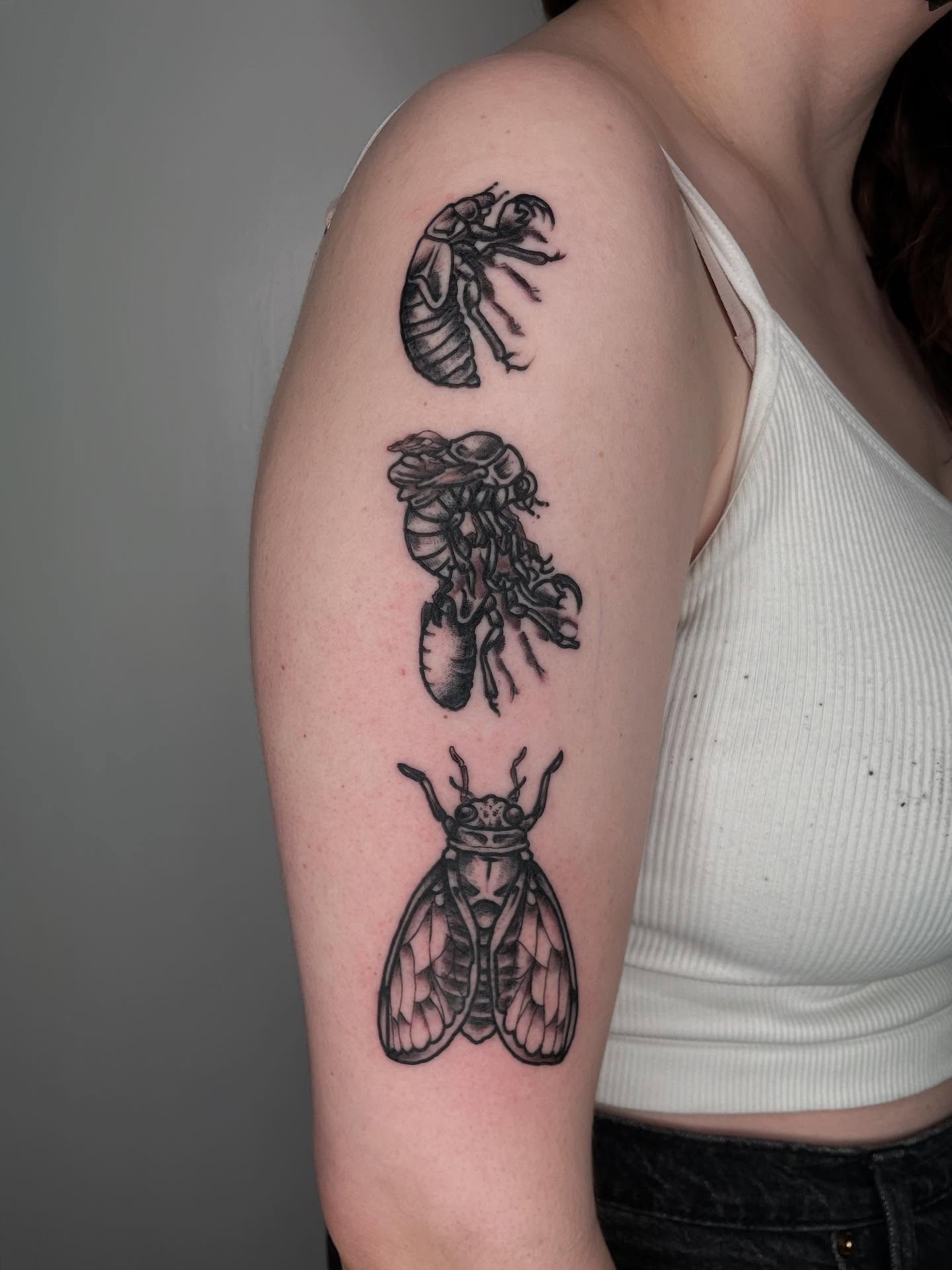 Cicada life cycle black and grey tattoo on the upper arm by G. Clover ⚧︎, Chicago, Illinois