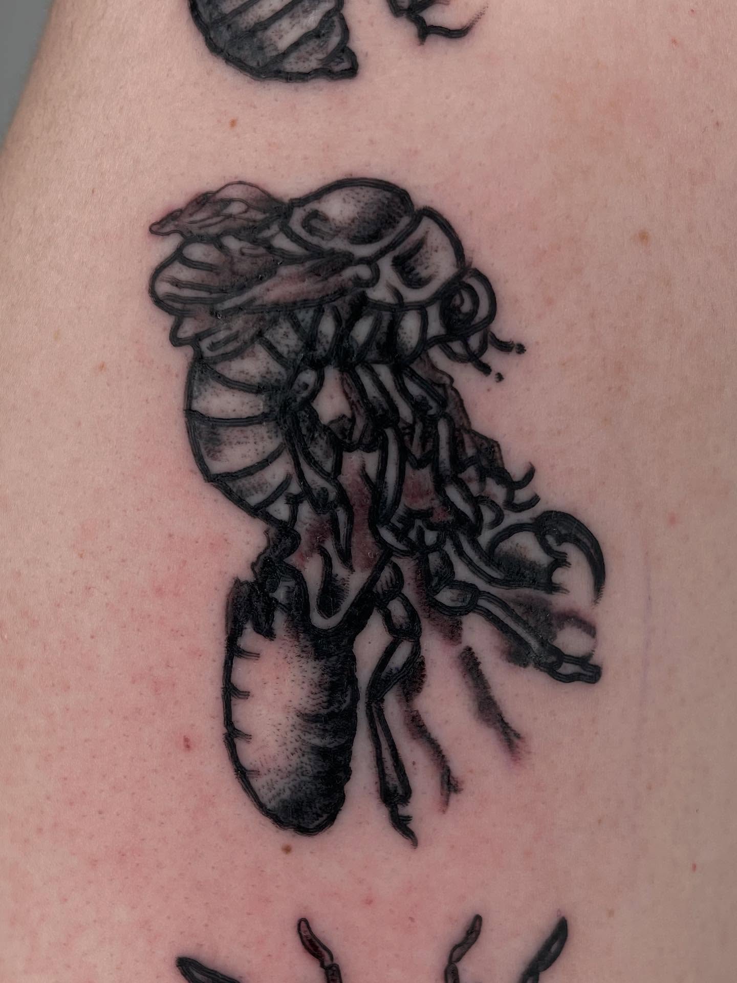 Lobster black and grey tattoo on the forearm by G. Clover ⚧︎, Chicago, Illinois