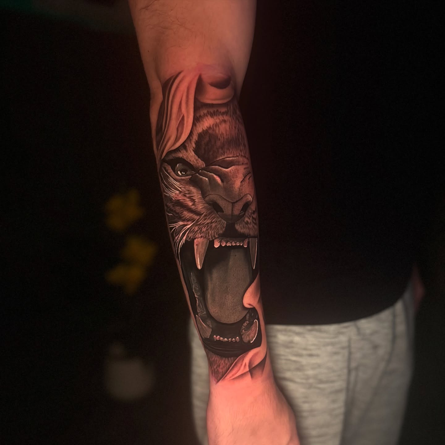 Lion realism tattoo on the forearm by Tay 🥀