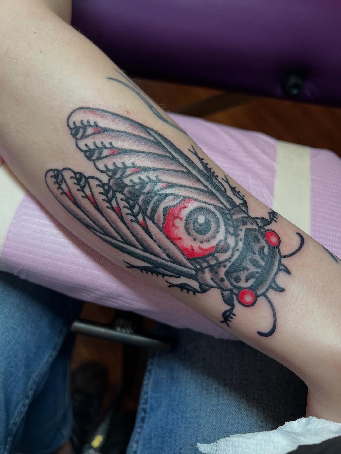 Cicada American traditional tattoo on the forearm by Josh Albers