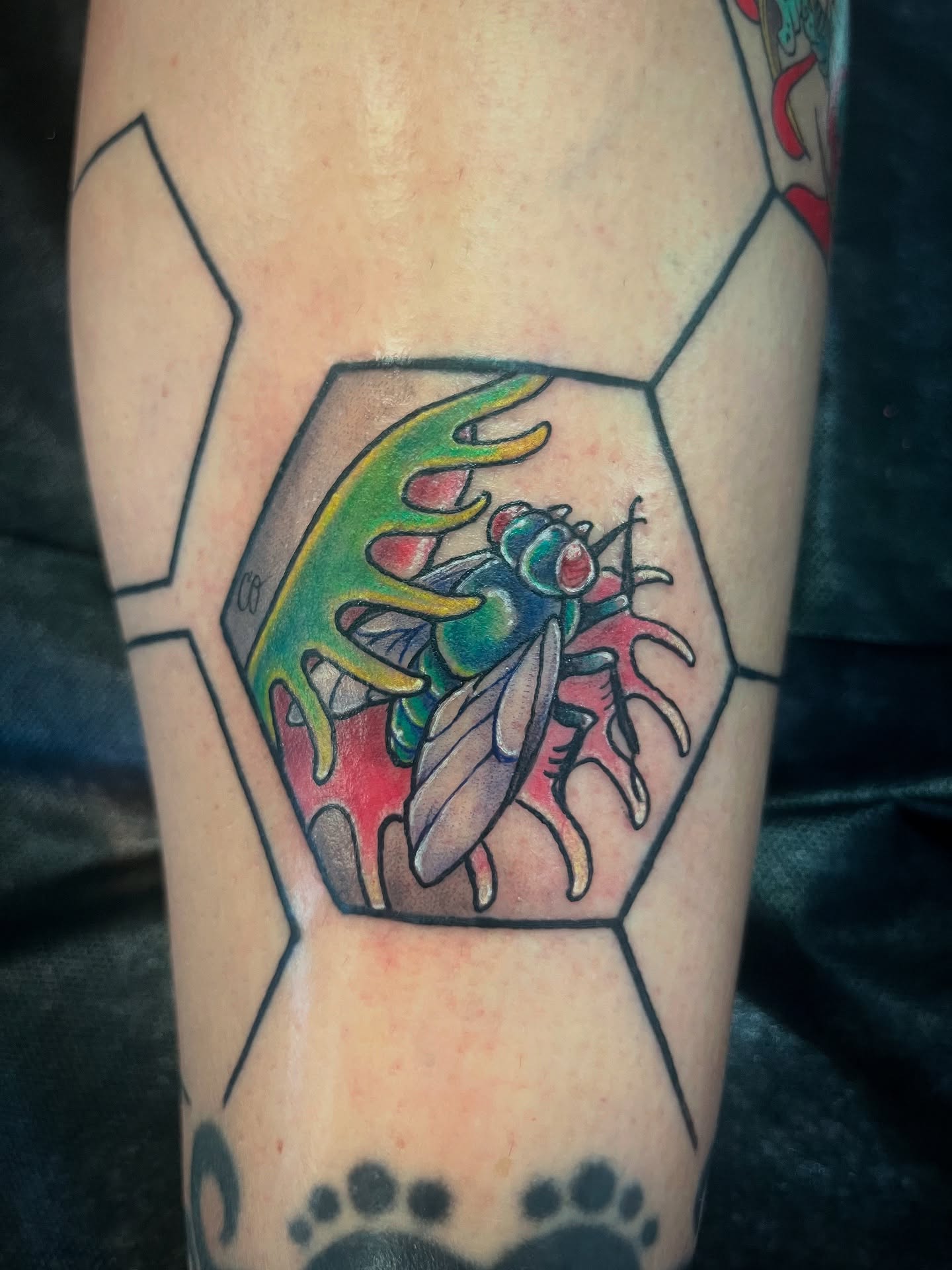 Tattoo by @caitoscreations — geometric