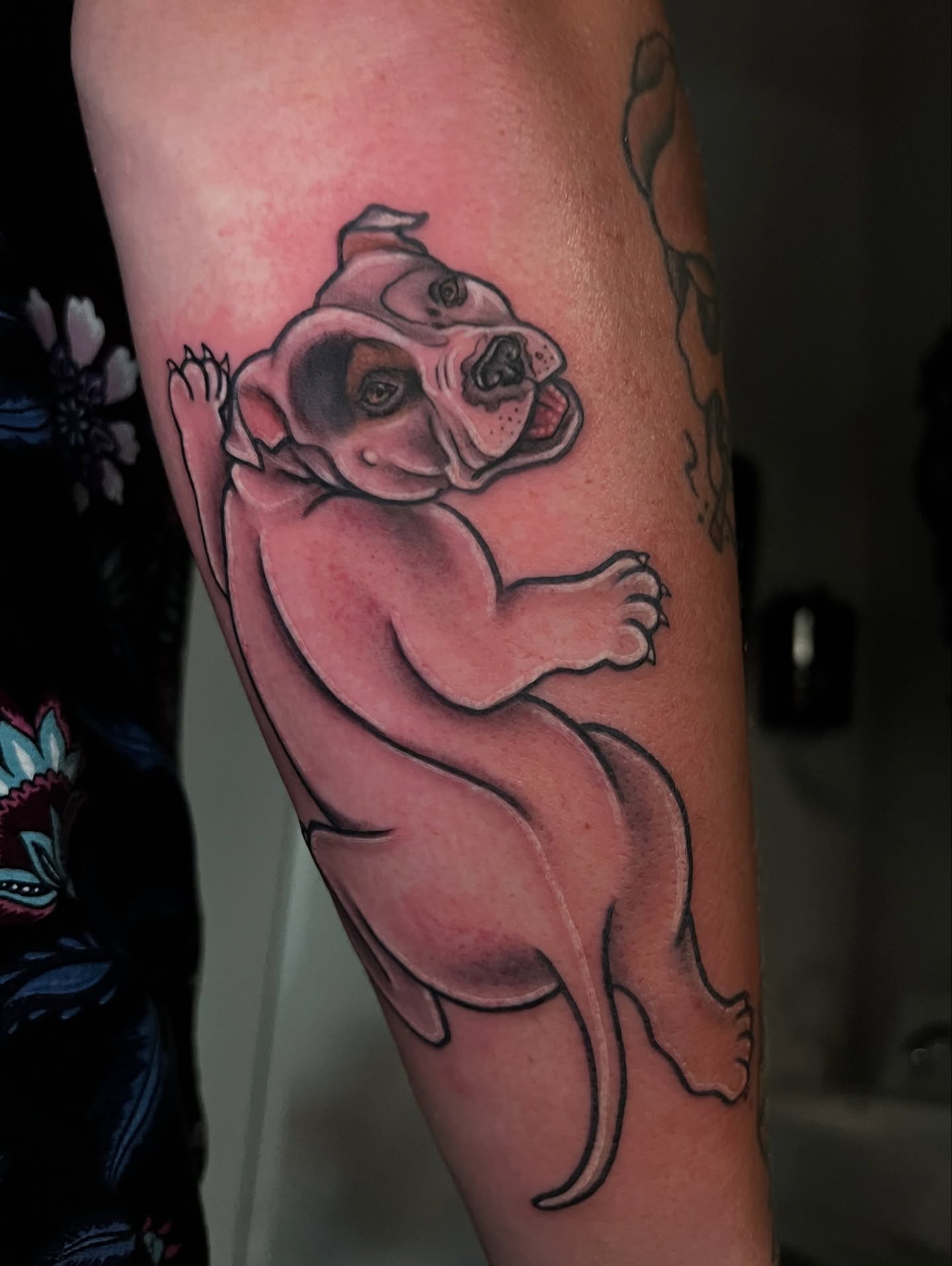 Bulldog realism tattoo on the forearm by BodyArtByAlia