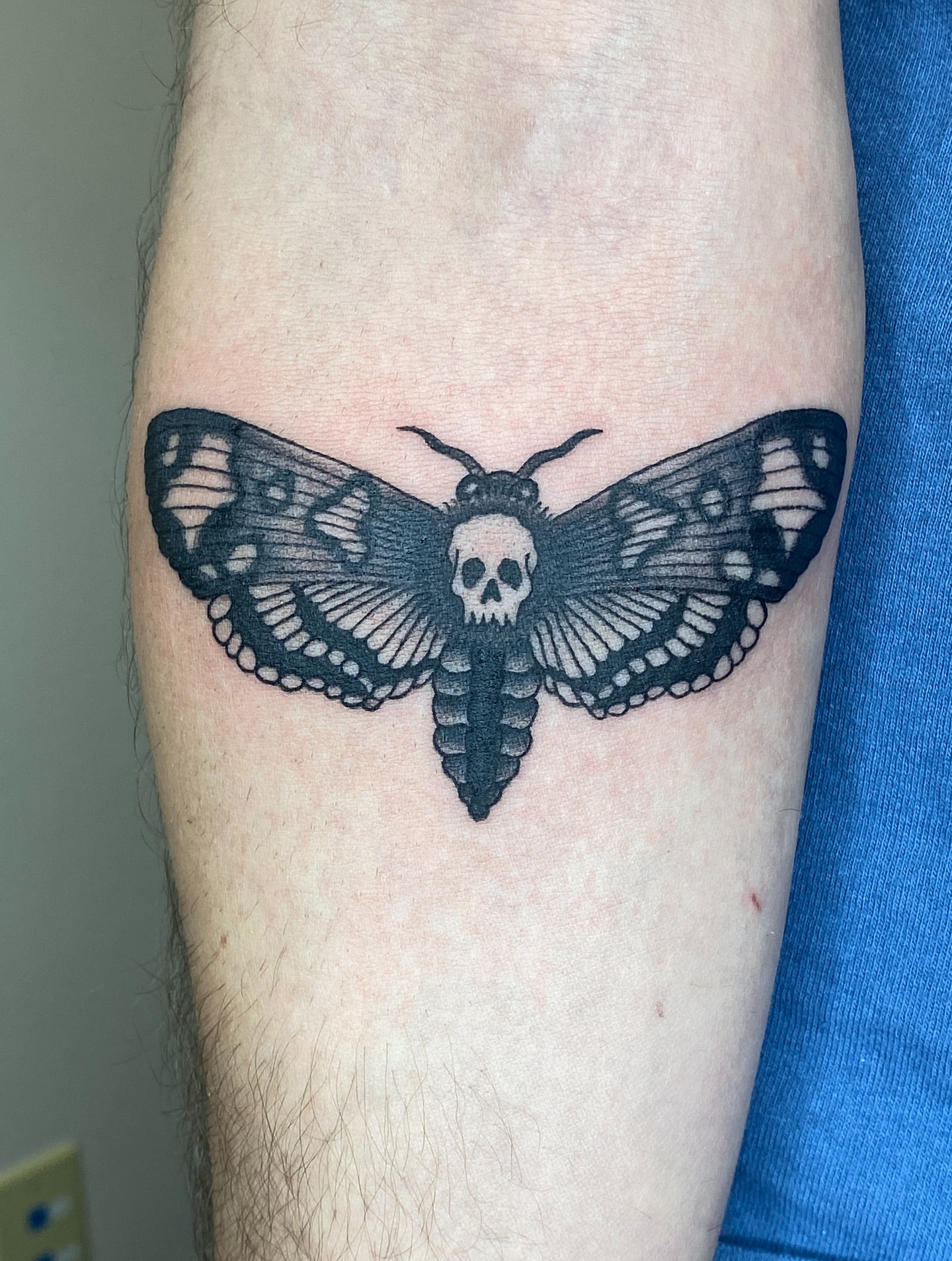 Moth with skull realism tattoo on the forearm by Aidan Leery, Portland, Oregon