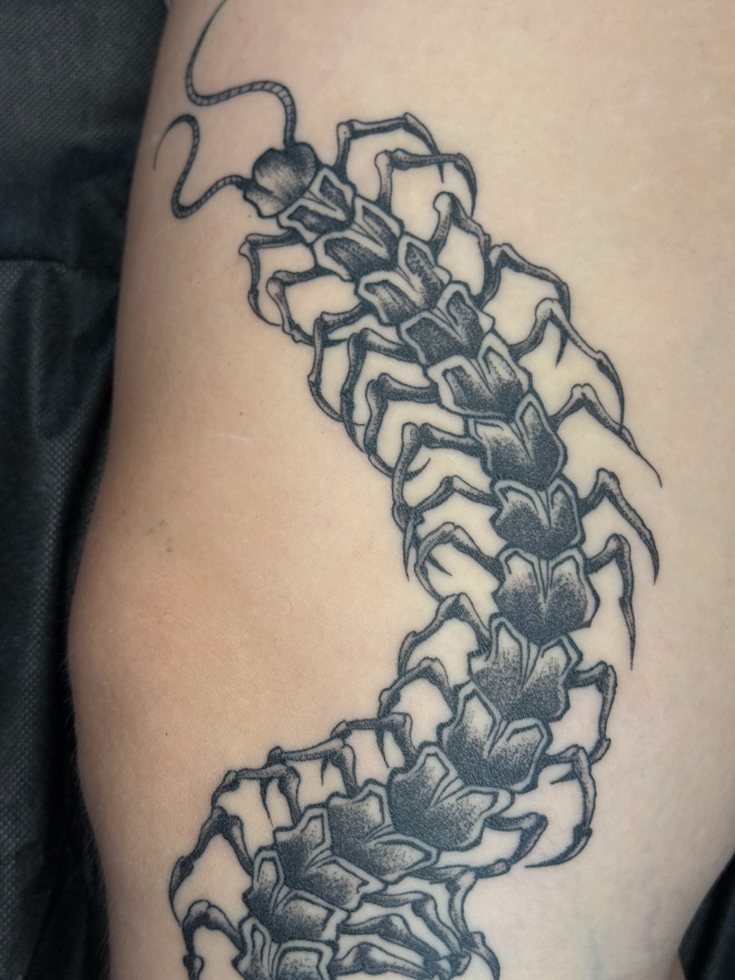 Centipede black and grey tattoo on the upper arm by šianca٠࣪ā