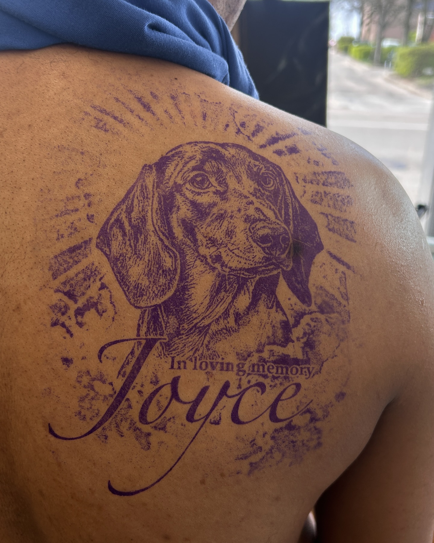 Dog realism tattoo on the shoulder by Ohio Tattoo Artist - Tehya Maxwell, Springfield, Ohio