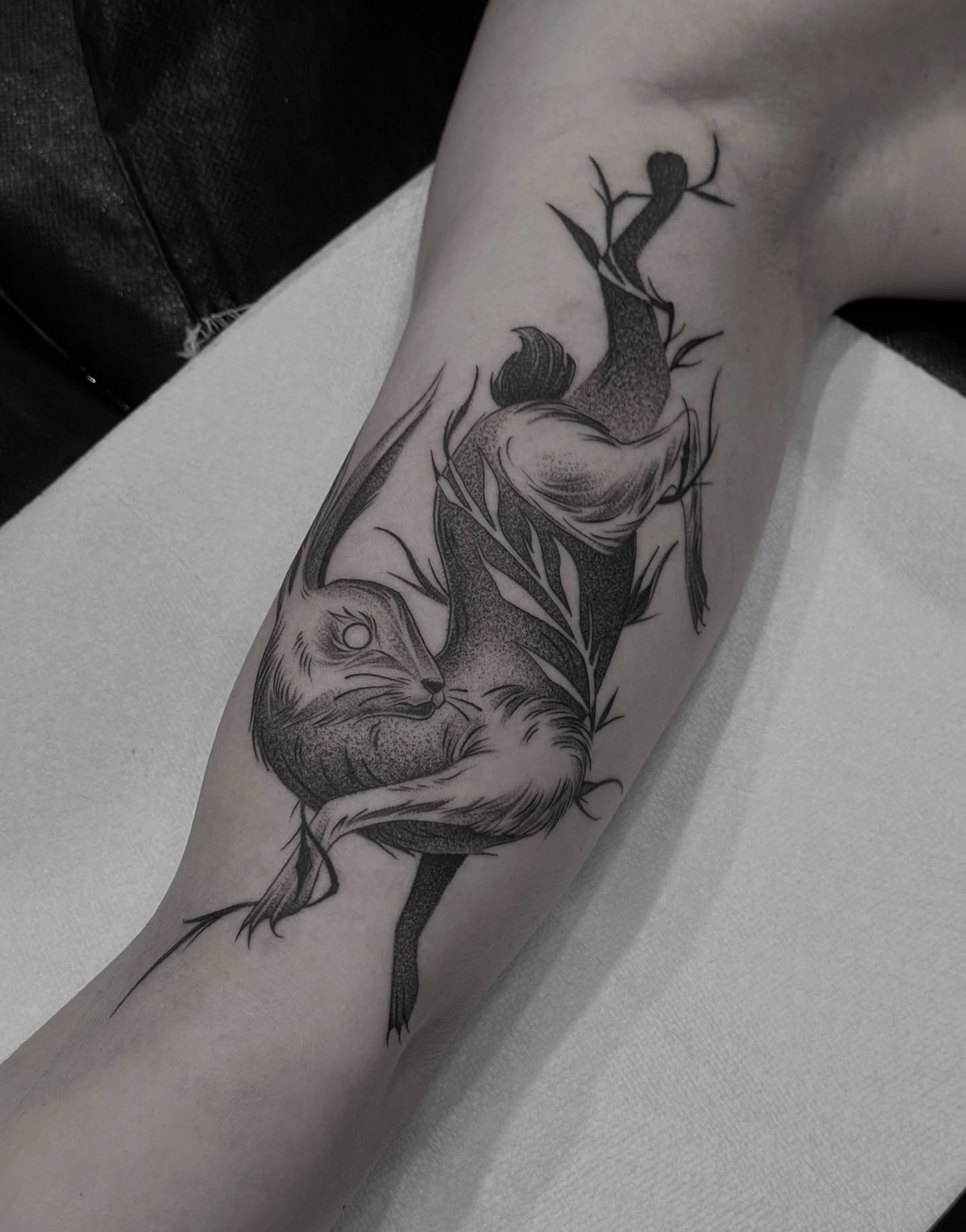 Squirrel and branch dotwork tattoo on the forearm by Z.