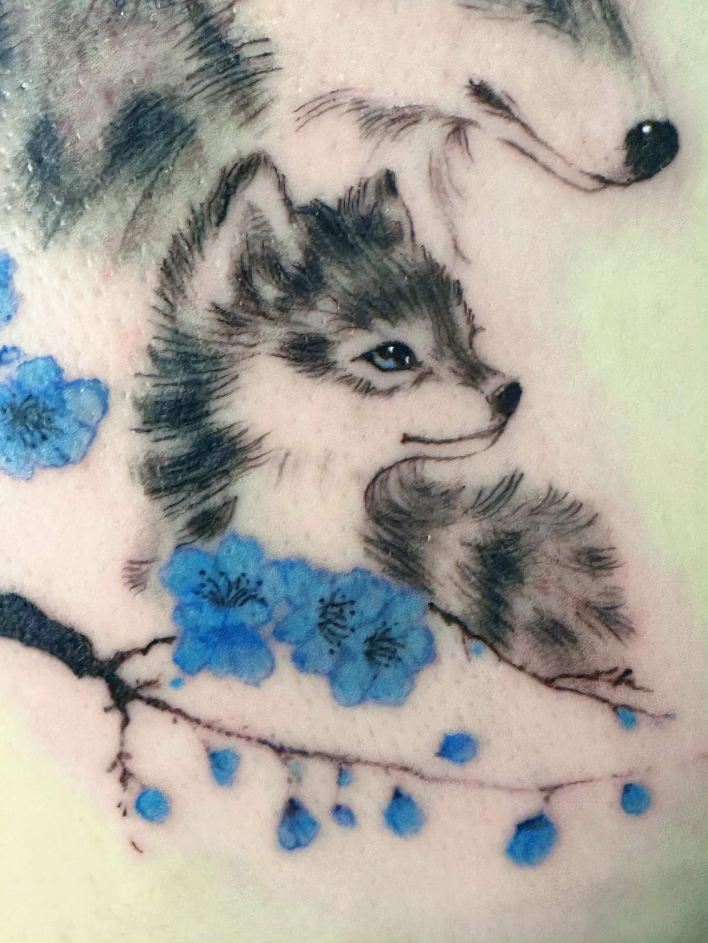 Fox and blossoms black and grey tattoo on the forearm by Sylvia｜思岐, Vancouver, British Columbia