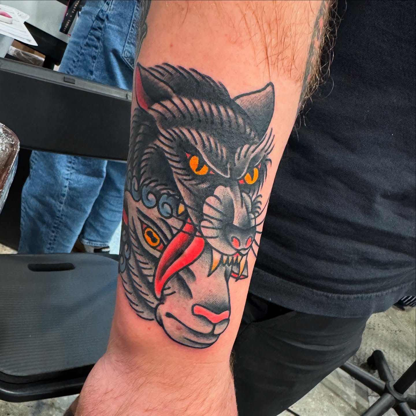 Cat American traditional tattoo on the forearm by kenneth nash