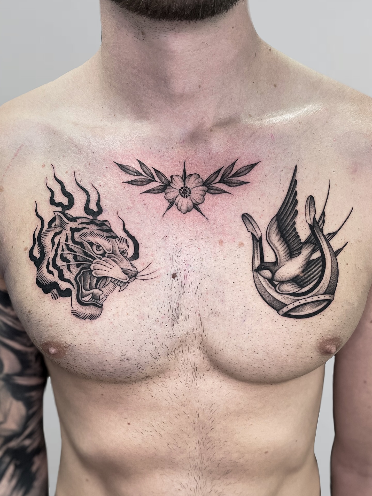 Tiger and swallow black and grey tattoo on the chest by Gold Coast Tattoo Artist, Gold Coast, Queensland