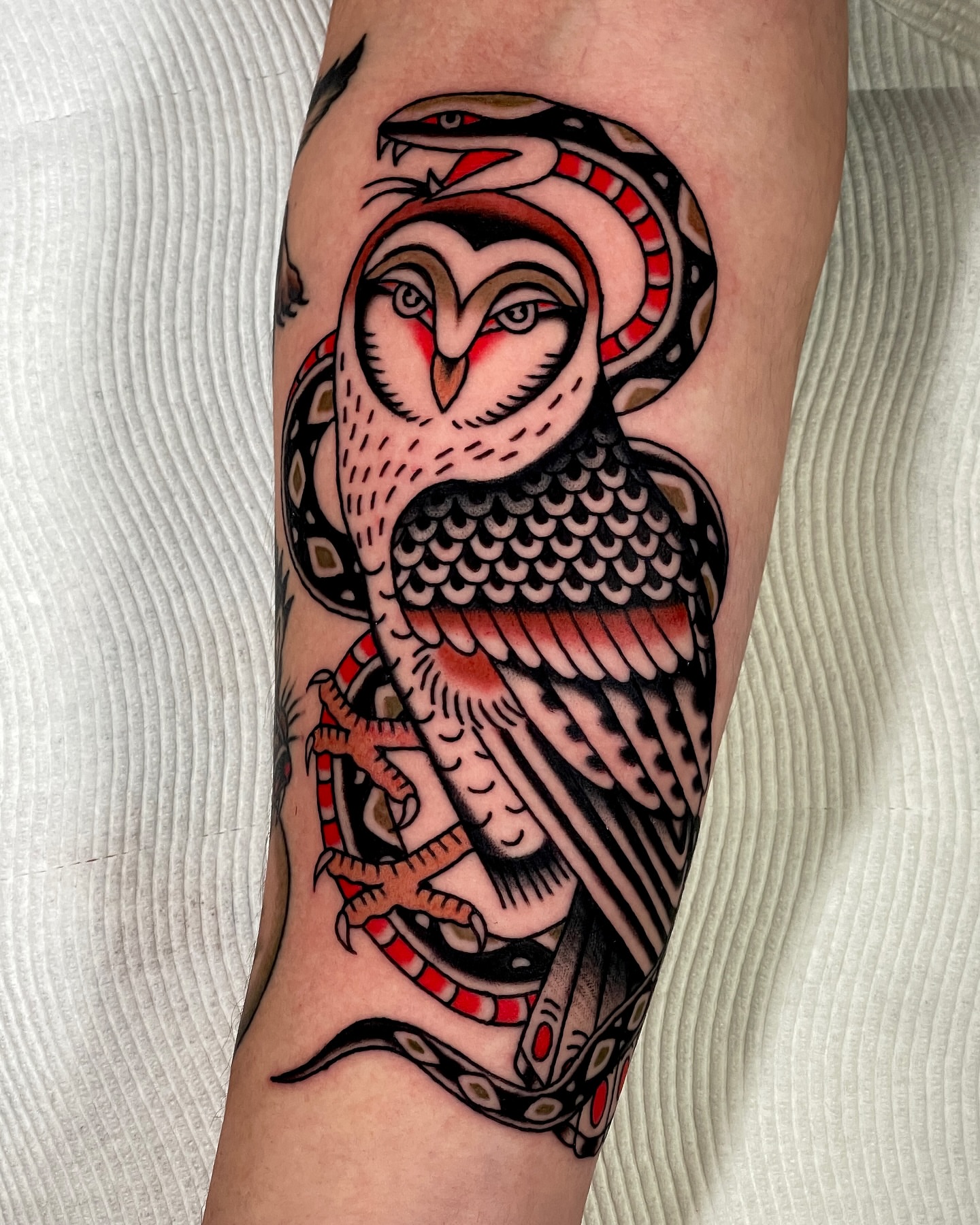 Owl and snake American traditional tattoo on the forearm by Chase Tucker