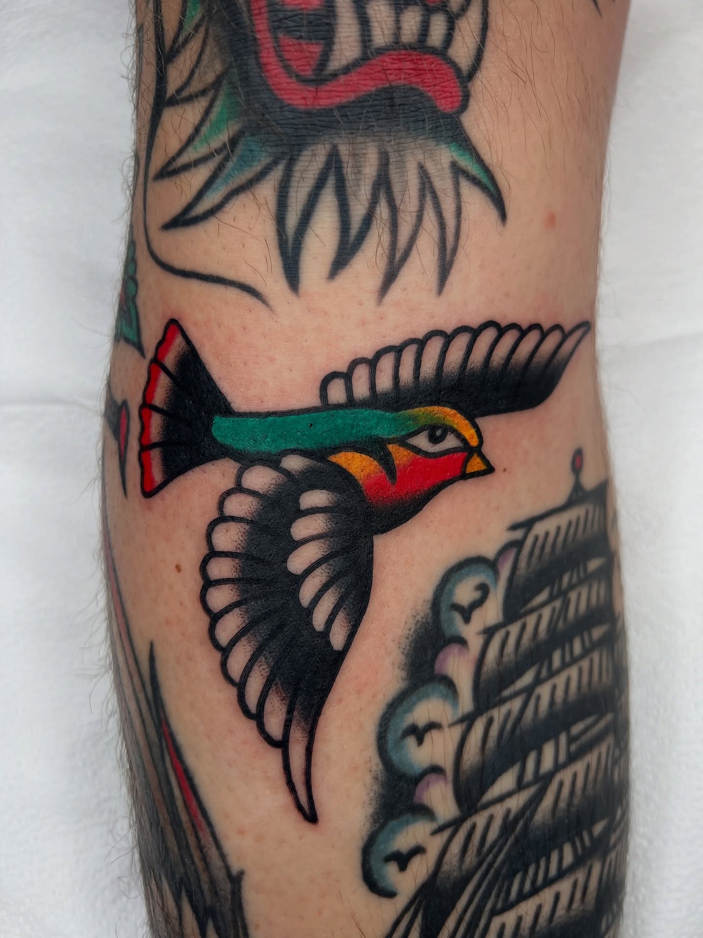 Bird American traditional tattoo on the forearm by Nick Judkins Tattoo