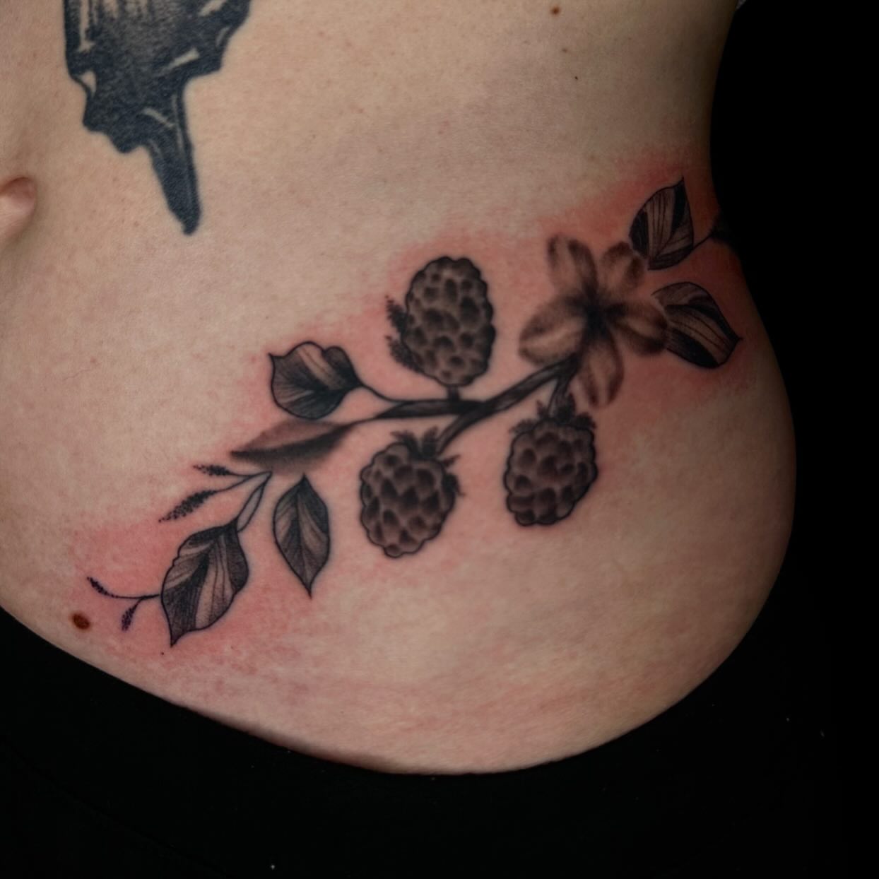 Raspberry branch black and grey tattoo on the ribs by Jay Morales