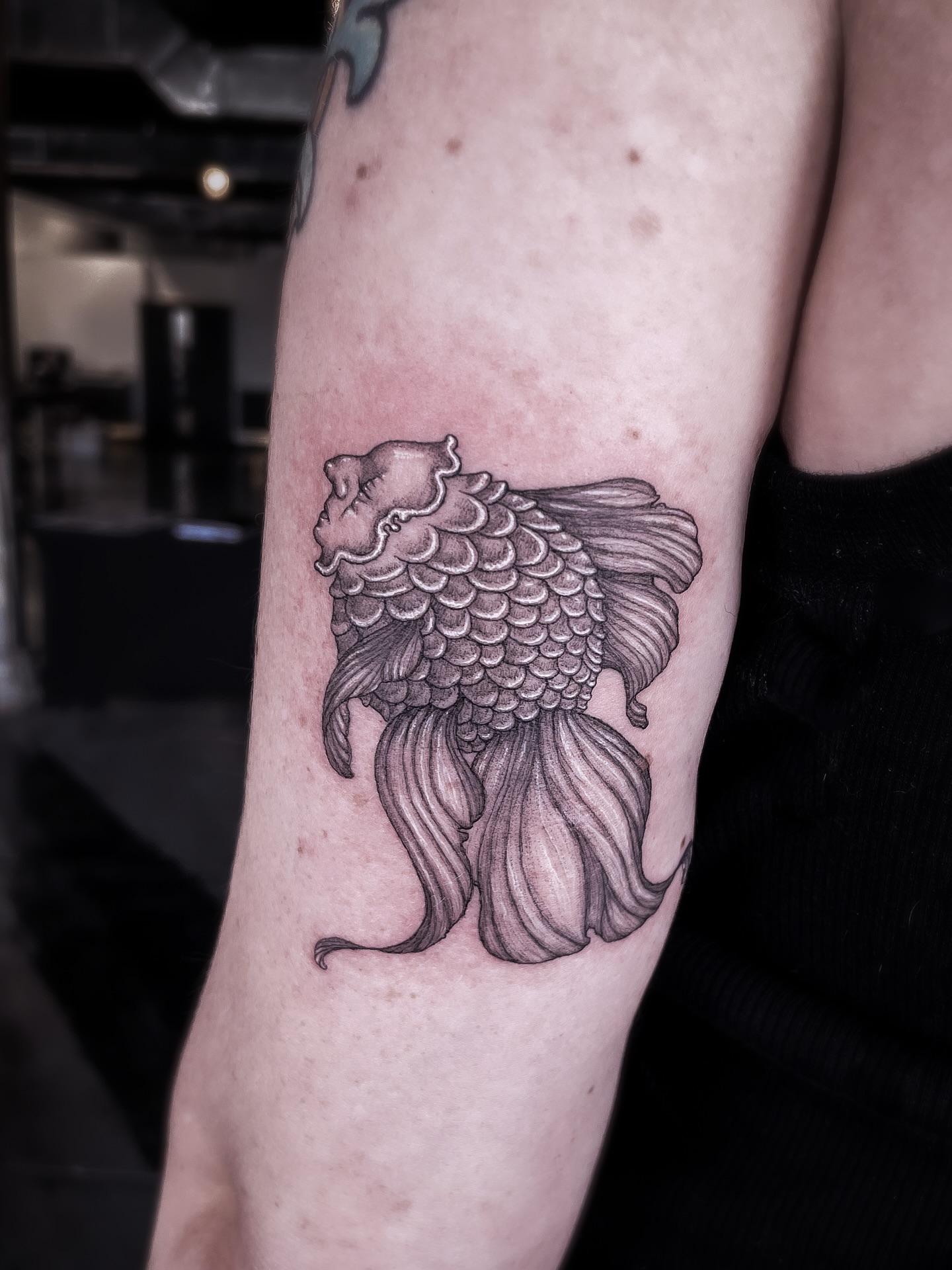 Goldfish black and grey tattoo on the forearm by 𝒥𝓊𝓃𝒾𝓅𝑒𝓇 𝒫𝑜𝓈𝓉 (Juju)